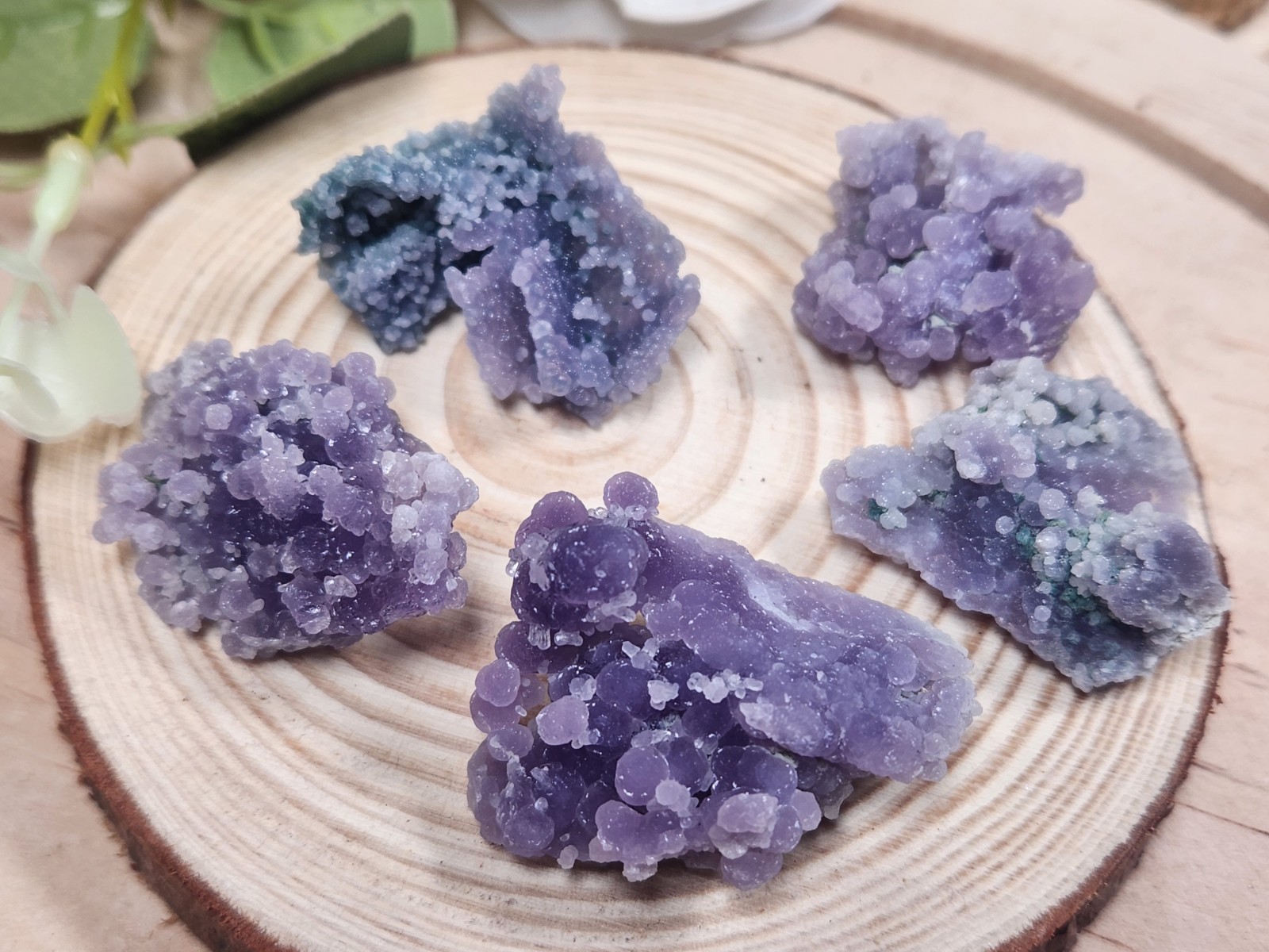 46g Grape Agate Lot West Sulawesi Indonesia Druzy Botryoidal Chalcedony 5 Pieces