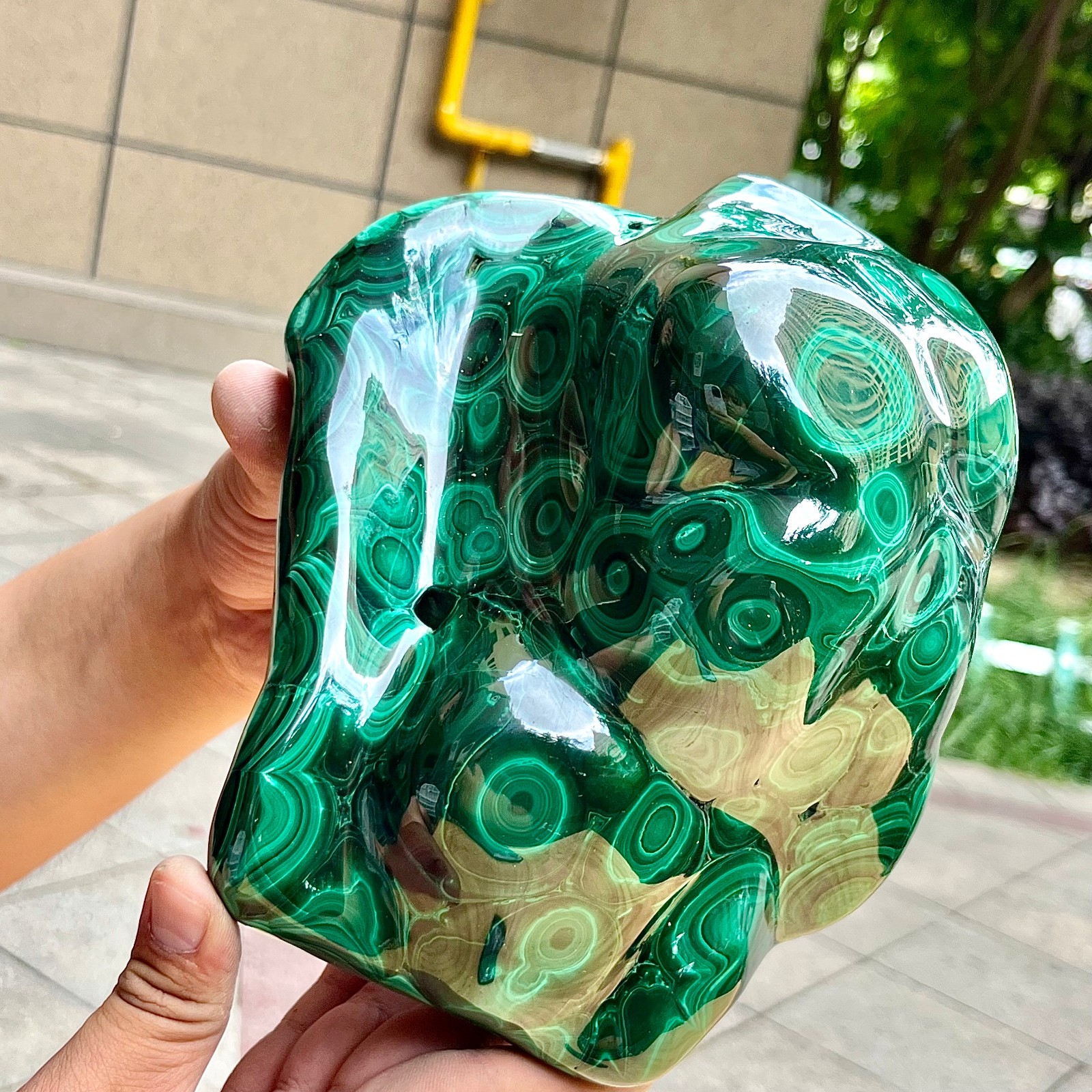 8.9 lb Malachite Stone Half Polished Raw Mineral Slice Decorative Specimen