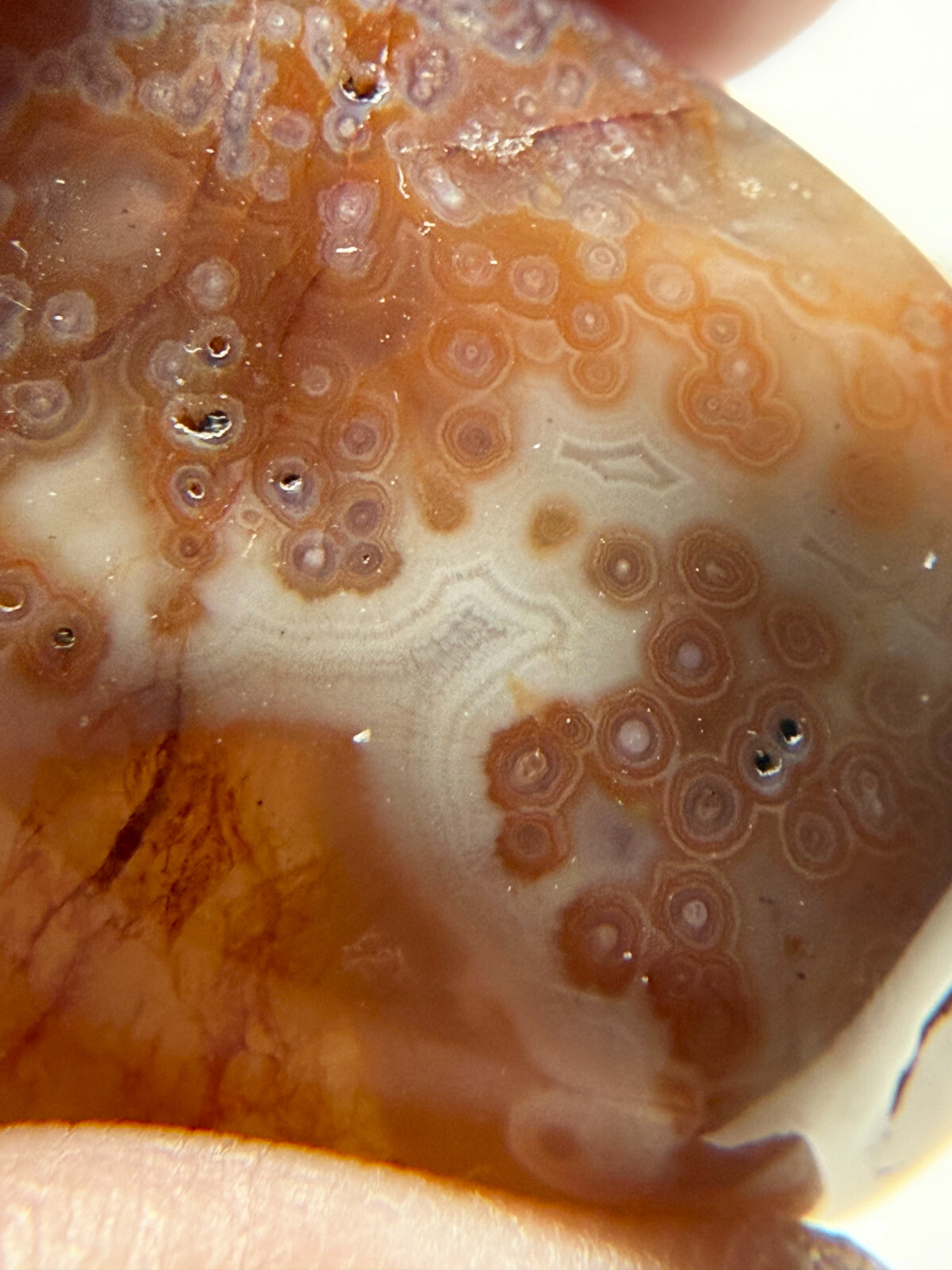 2.0 oz Michigan Minnesota Lake Superior Agate LSA #18 EYES BANDS (polished