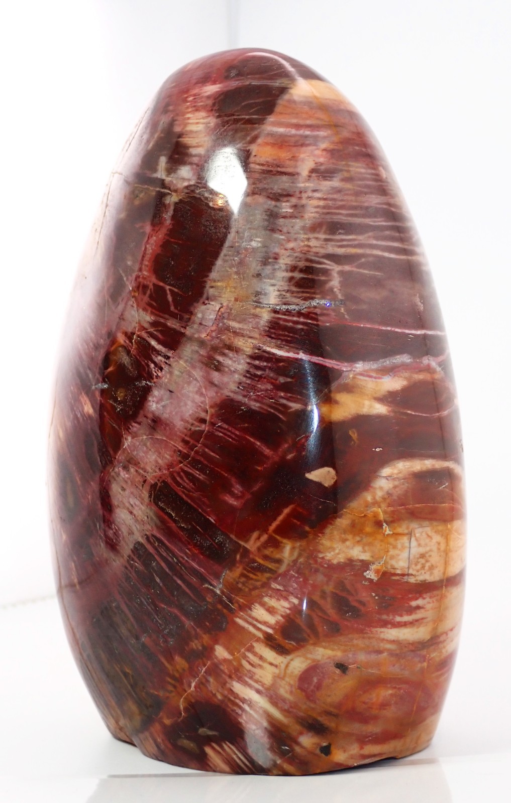 LARGE PETRIFIED RAINBOW WOOD POLISHED FREE-FORM, 7 INCHES TALL – 5 lb. 3oz