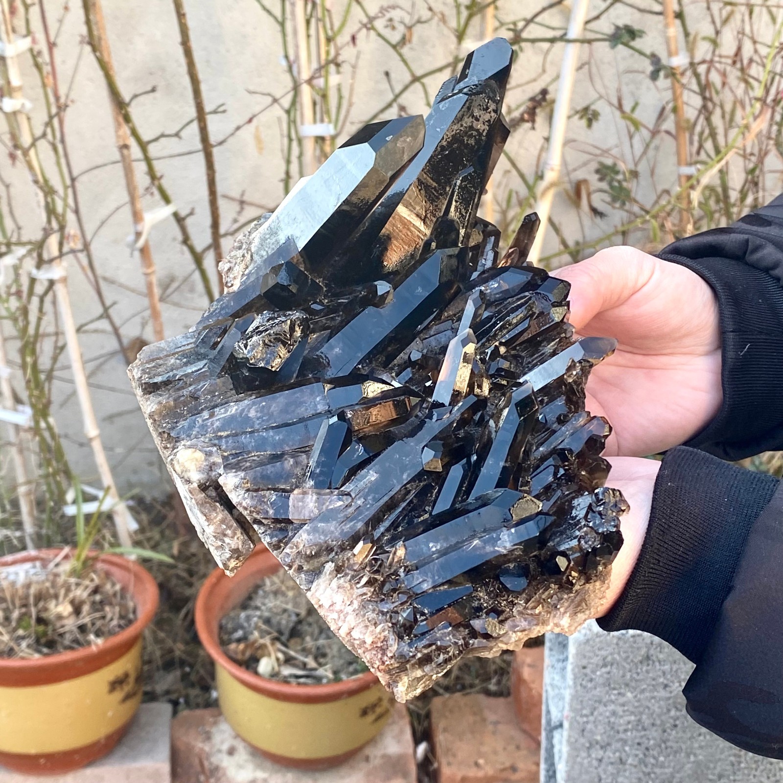 5.25LB Large Natural black Quartz Crystal Cluster Rough Specimen Healing Stone.