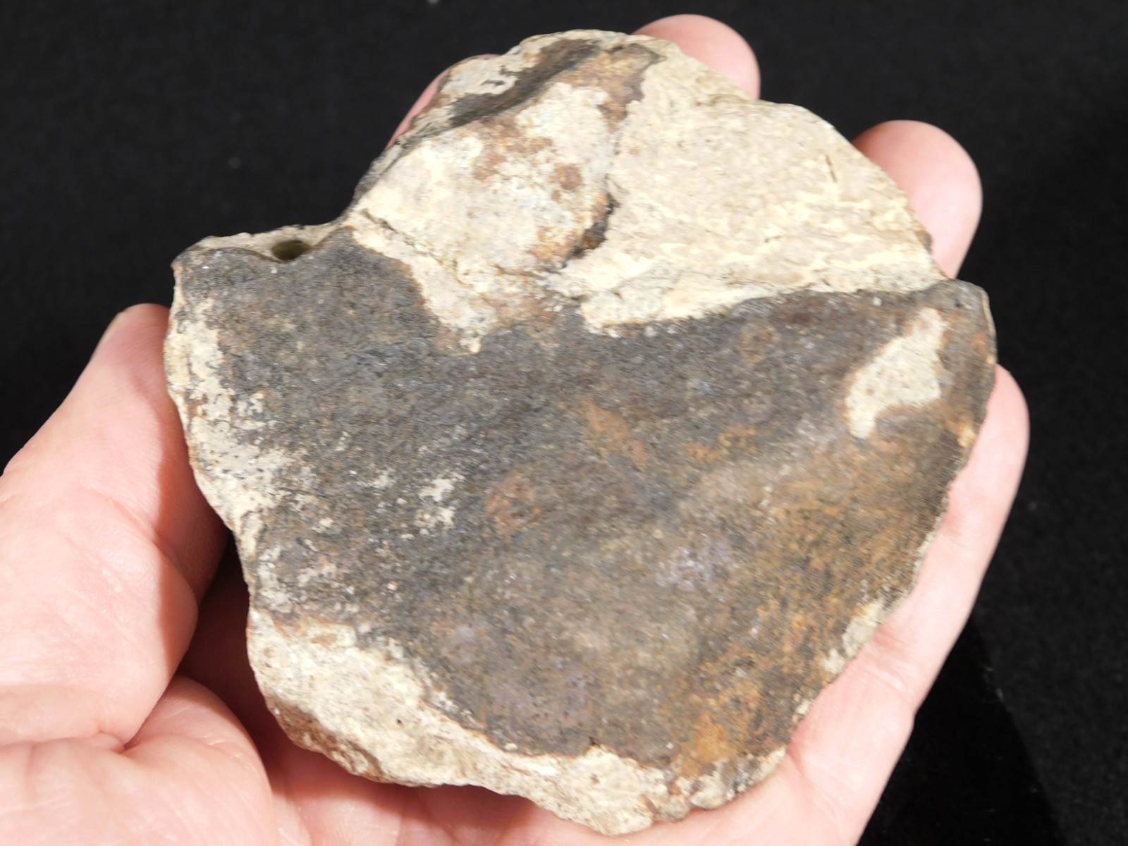 Larger! CLASSIFIED NWA 8245 METEORITE with Dark Fusion Crust Erfoud, Morocco 471