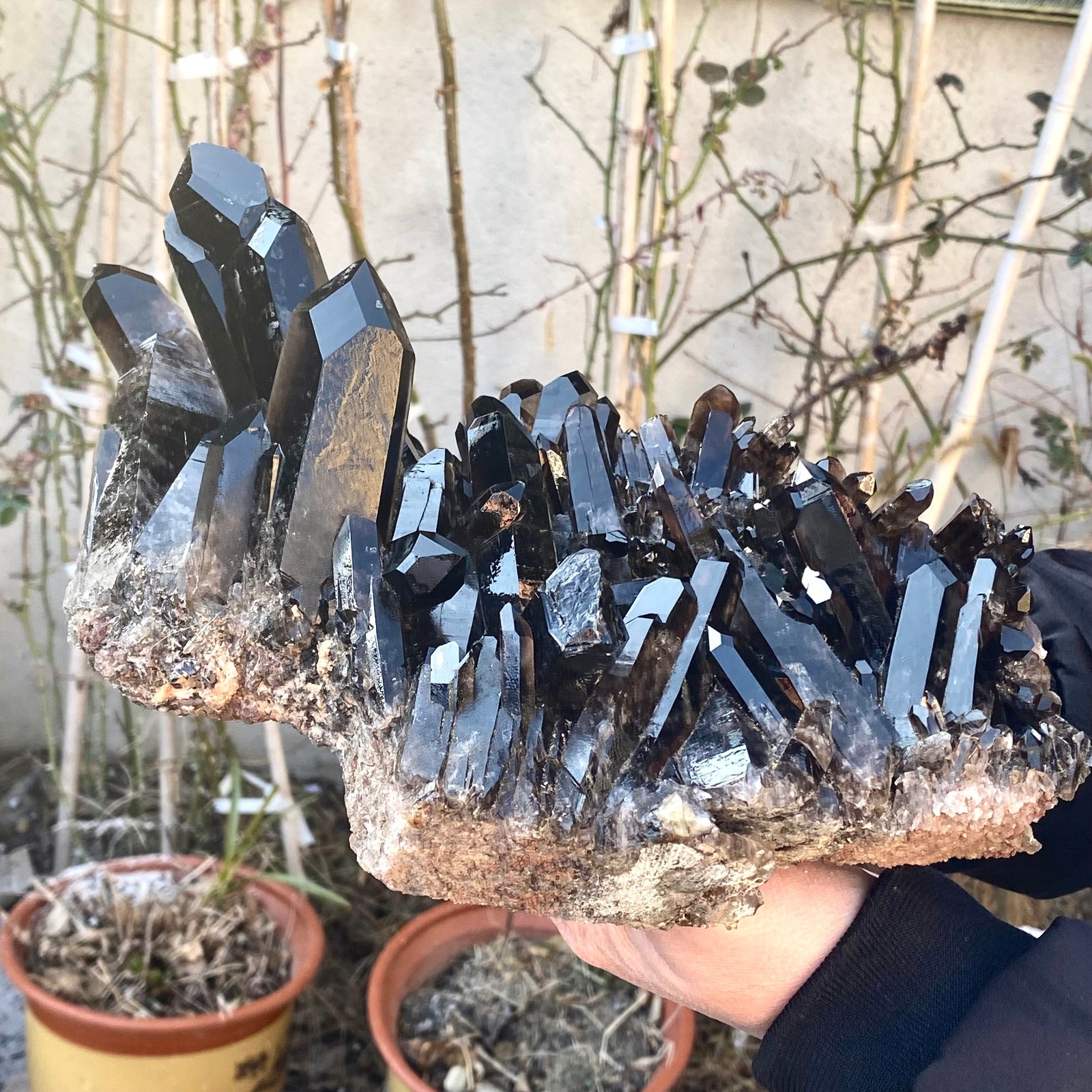 5.25LB Large Natural black Quartz Crystal Cluster Rough Specimen Healing Stone.