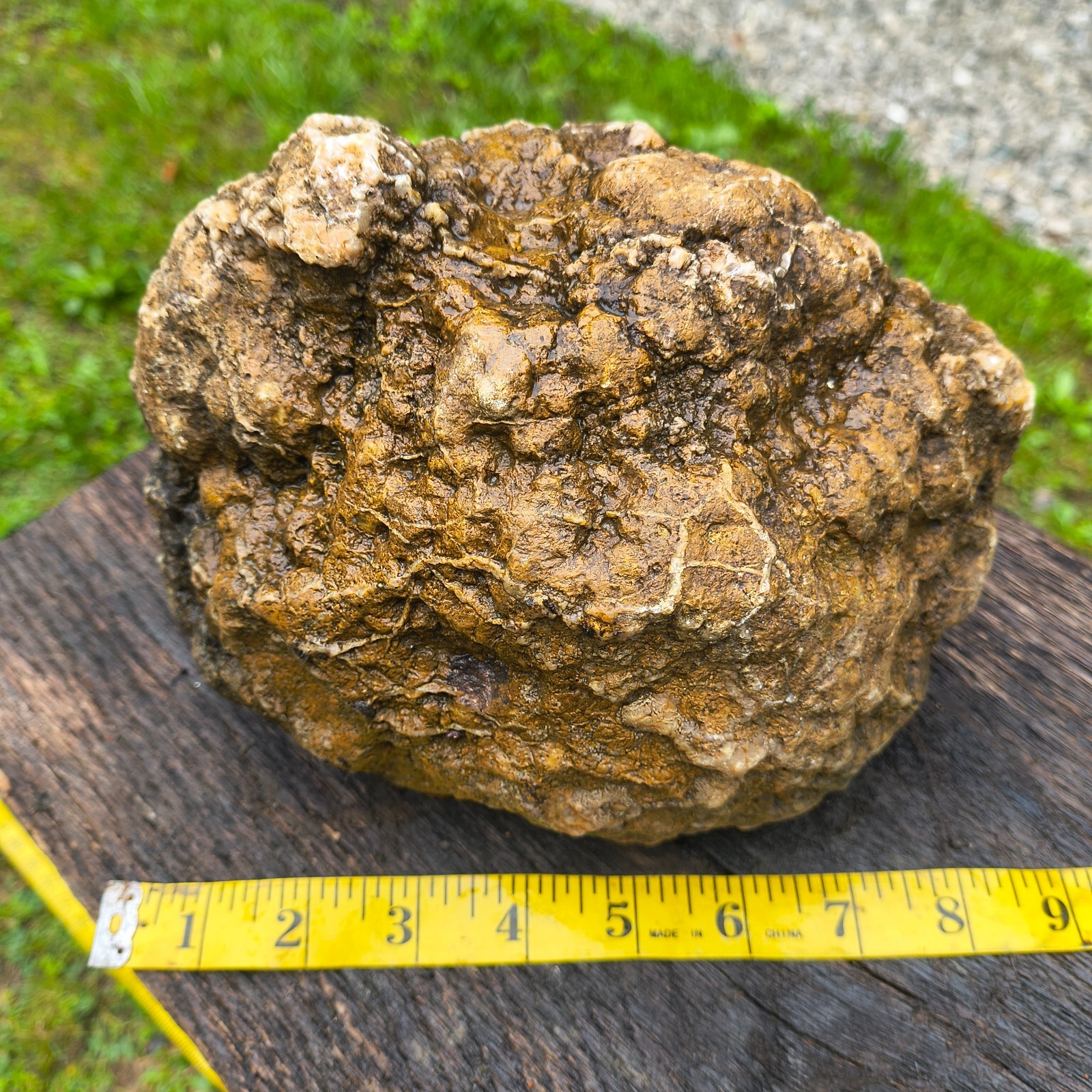 Large Kentucky Geode Natural Unopened Crystal Geode Collector Specimen