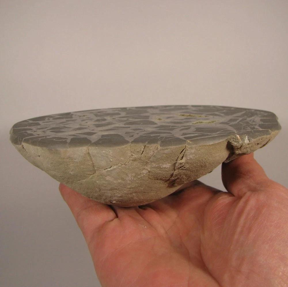 6.2″ Polished SEPTARIAN GEODE End Slab – Utah – 2.5 lbs.