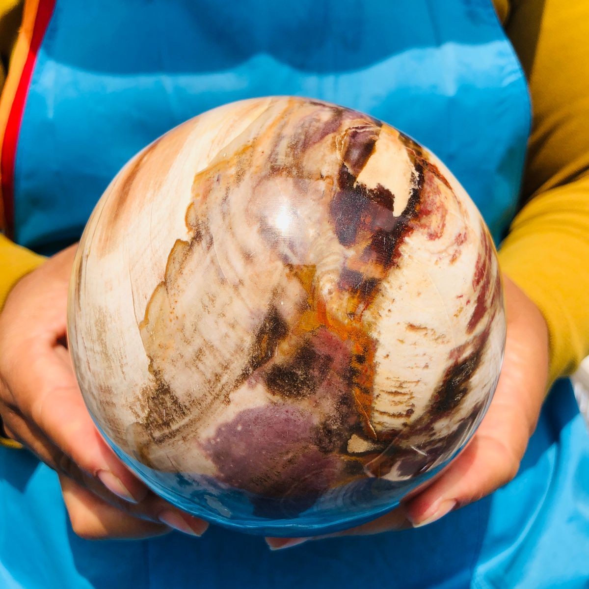 4.59LB Natural Petrified Wood Sphere Polished Crystal Ball reiki healing