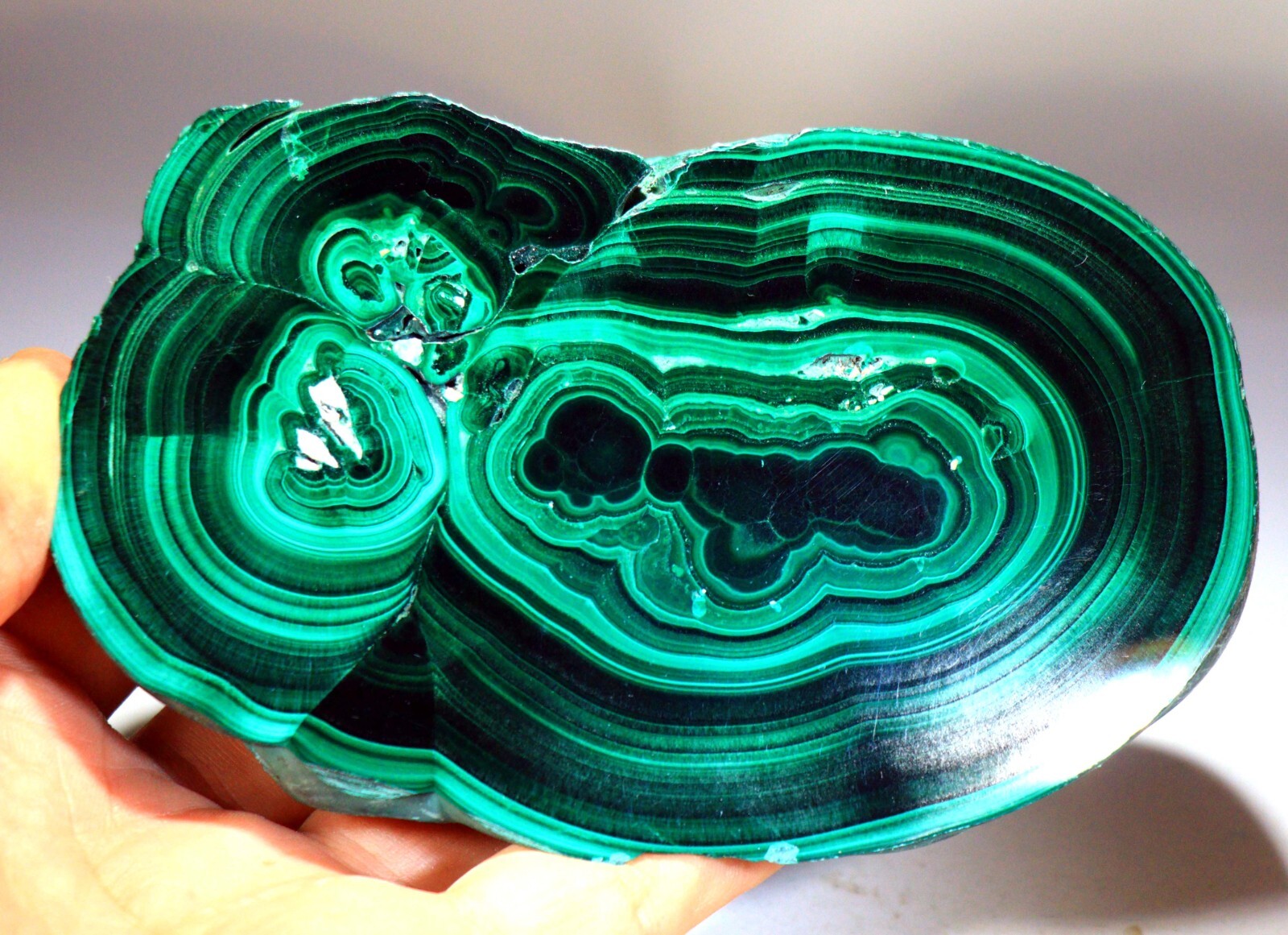 1 lb 12 oz 5.25″ Top Quality Polished Bull’s Eye Malachite Slice, Congo! M716