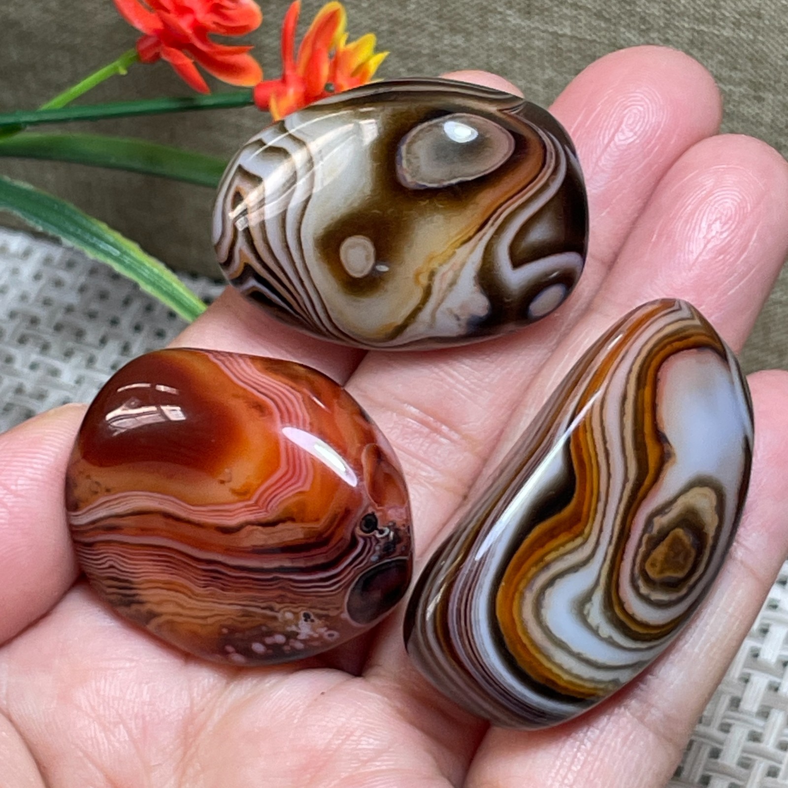3pcs Crazy Lace SILK Banded Polished Tumbled Stone Madagascar Decor 77g