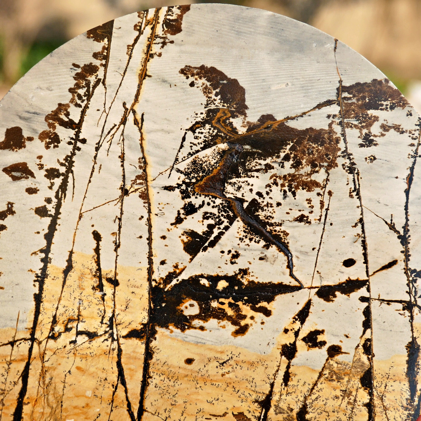 Picture Jasper Round Slice 5in Polished Landscape Stone Disc Display Shelf Decor
