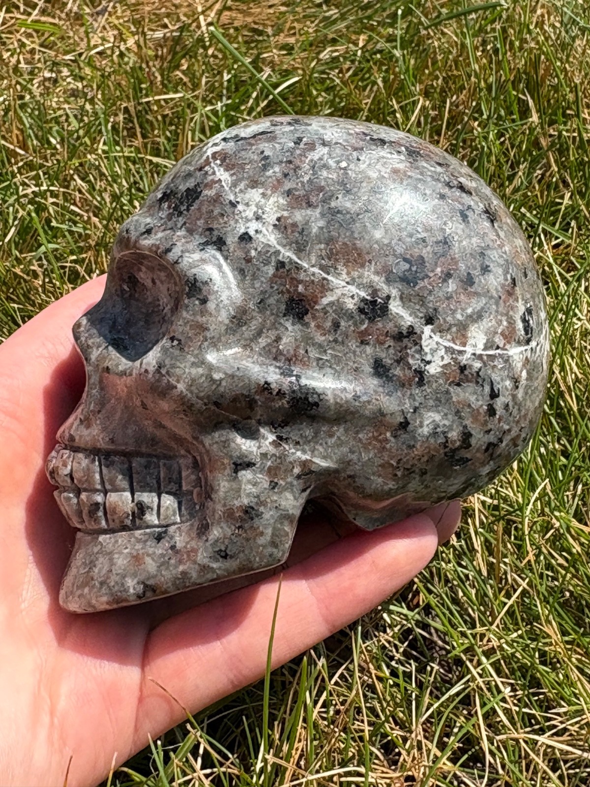 Natural Yooperlite Crystal Skull Carving UV Reactive Fluorescent Stone Decor