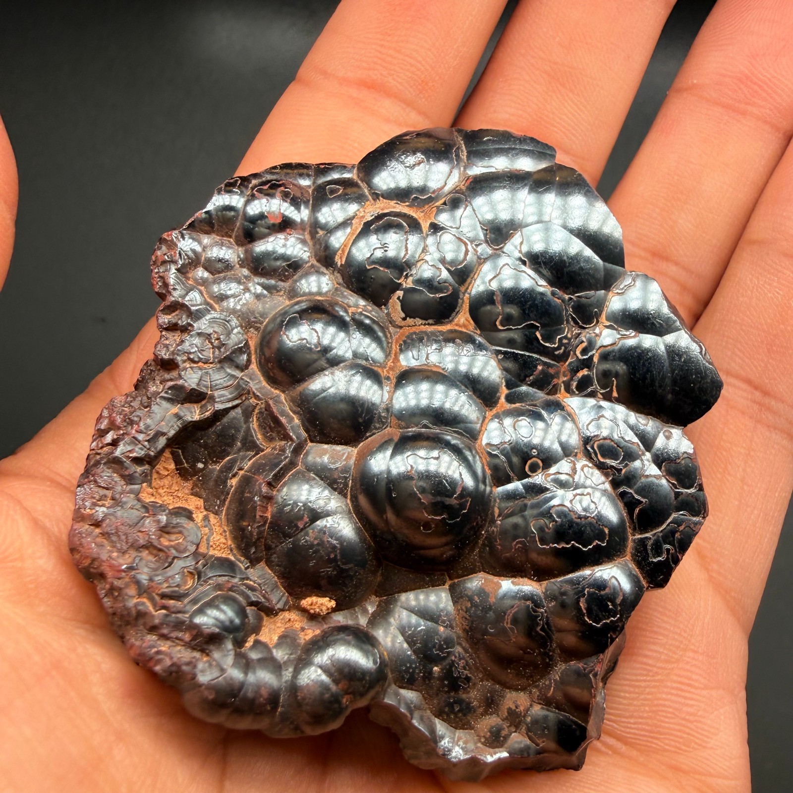 Botryoidal Hematite Specimen from Morocco 171g – Natural Iron Rose Formation