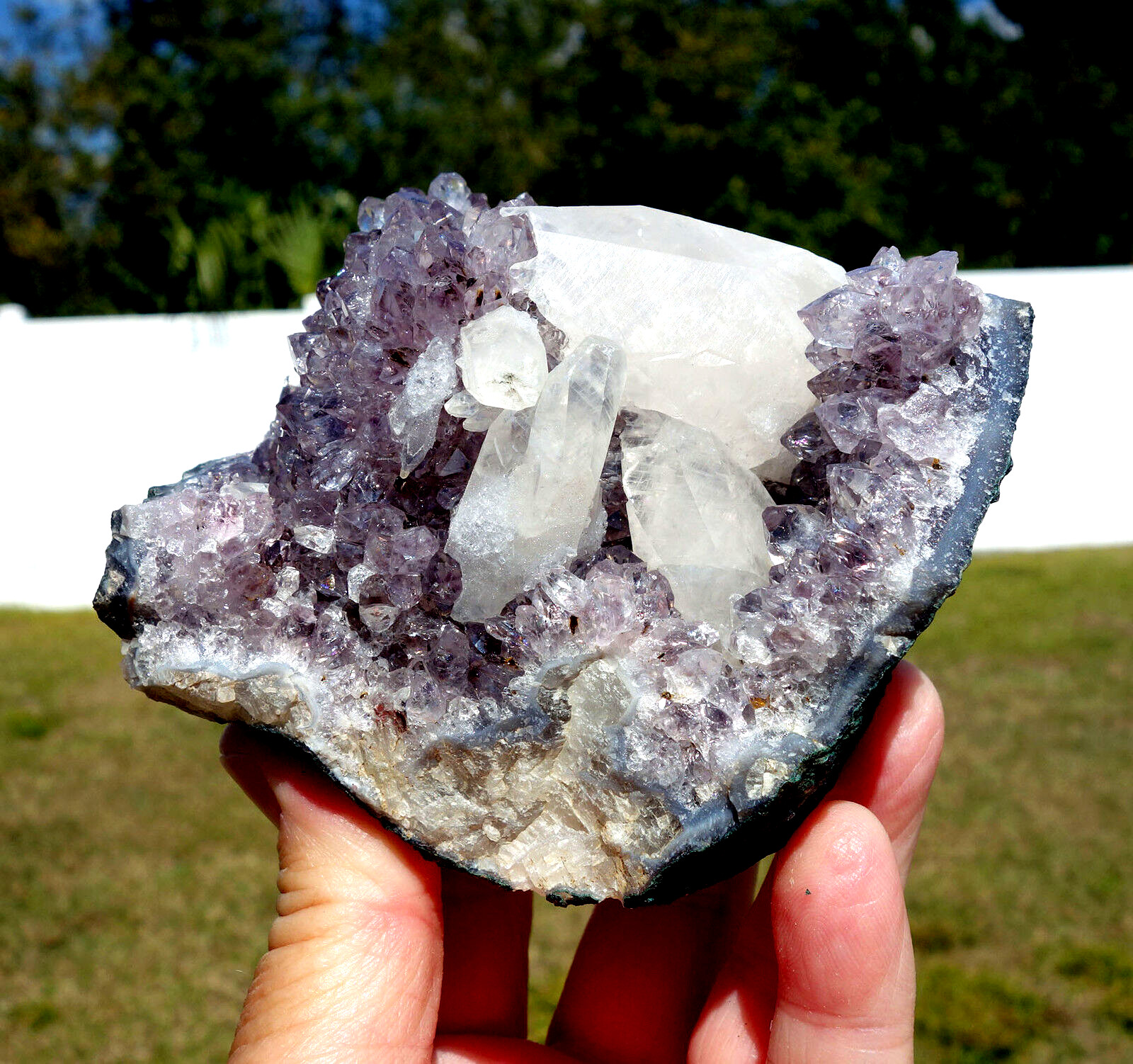 White DOGTOOTH Calcite in AMETHYST Crystal Point Stalactite Quartz Cluster