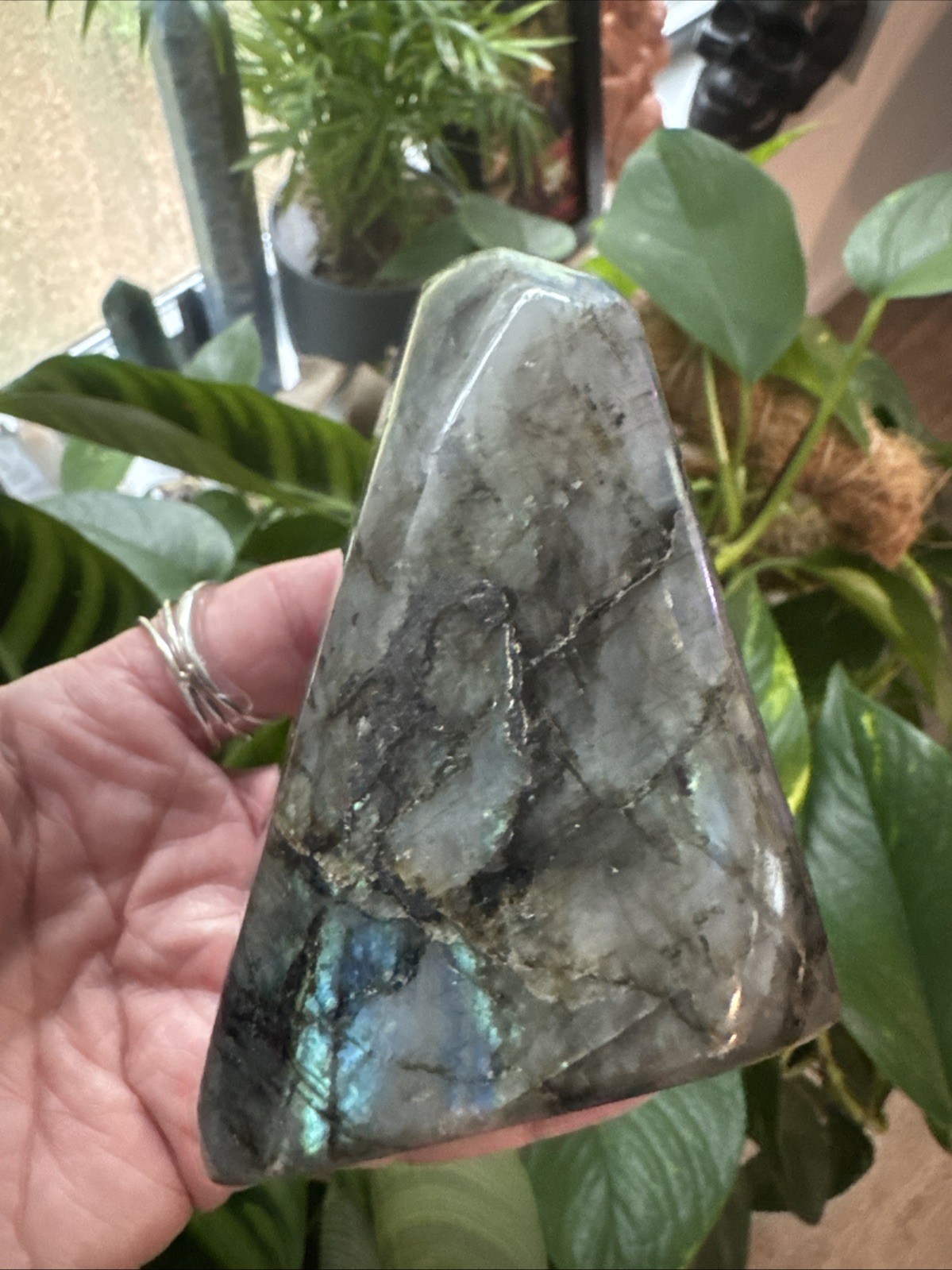 Labradorite Crystal Freeform 522 Grams 4.25”
