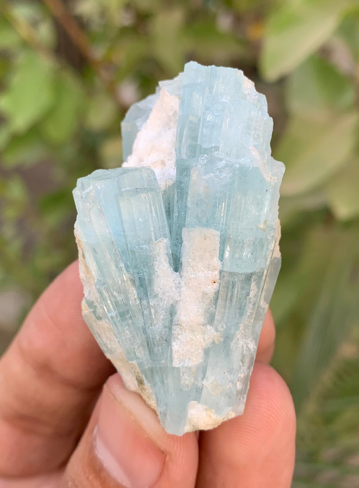38 Gm Natural Sky Blue Aquamarine Crystal Cluster Specimen From Skardu Pakistan