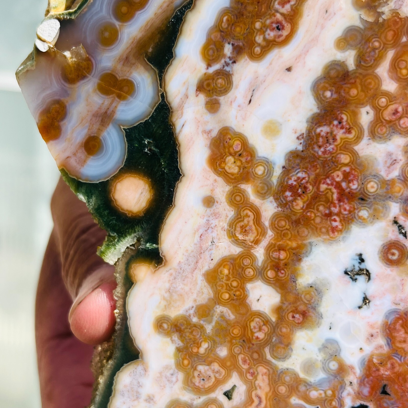 3.75LB Rare Natural The 8th Vein Ocean Jasper Slab Quartz Crystal Reiki Healing