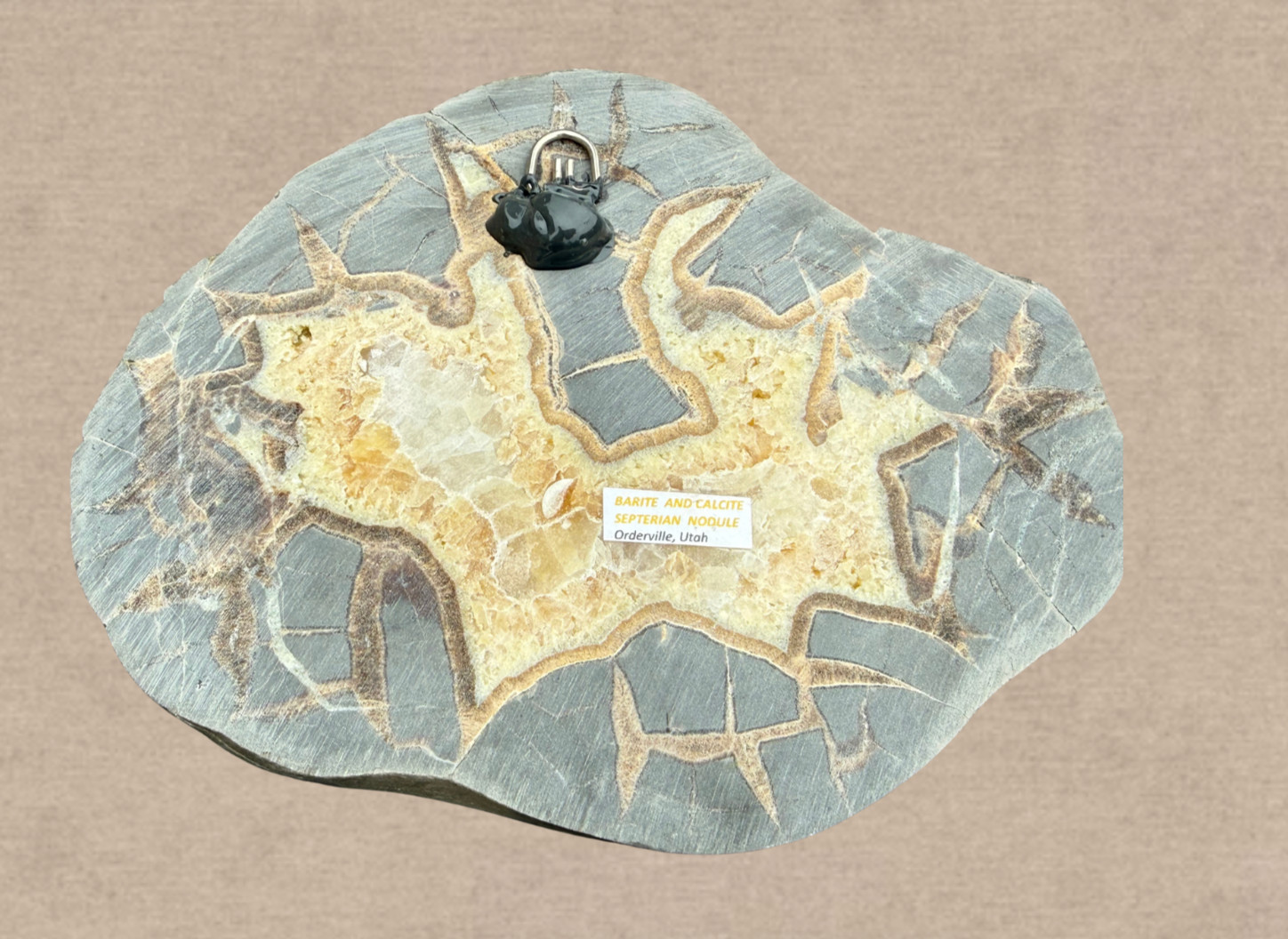 Polished Septarian Nodule Geode Calcite Crystal Display Stone