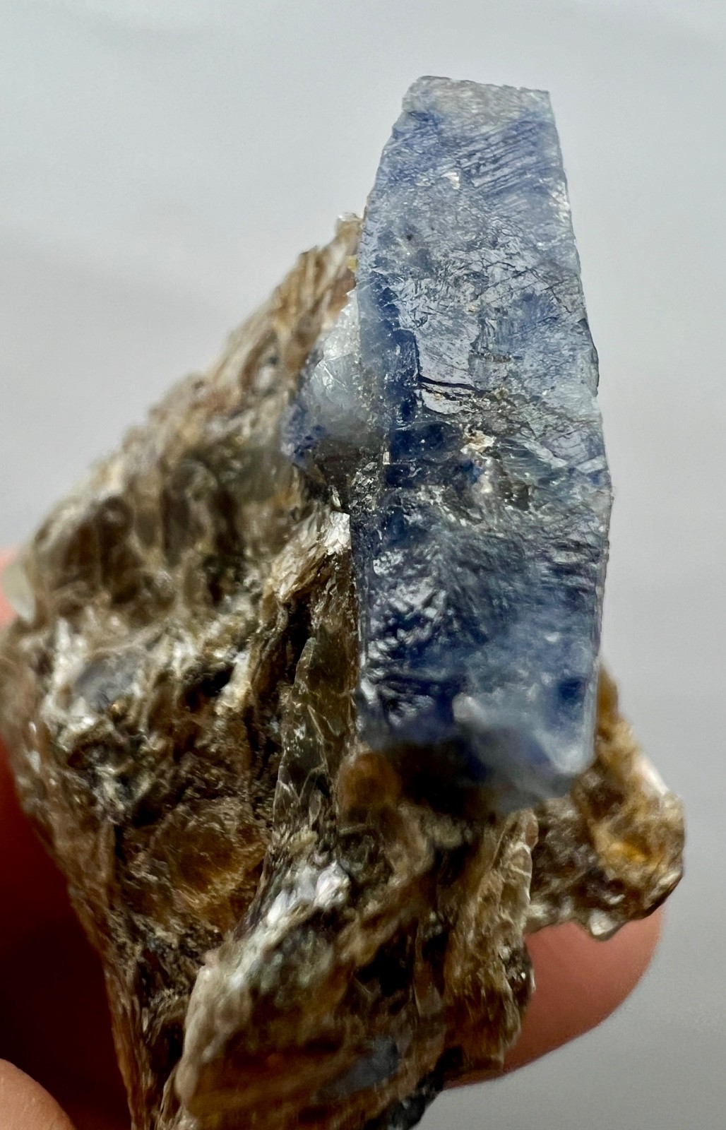 58ct.Natural Blue Sapphire Crystal Cluster on Mica Matrix – Afghanistan Specimen