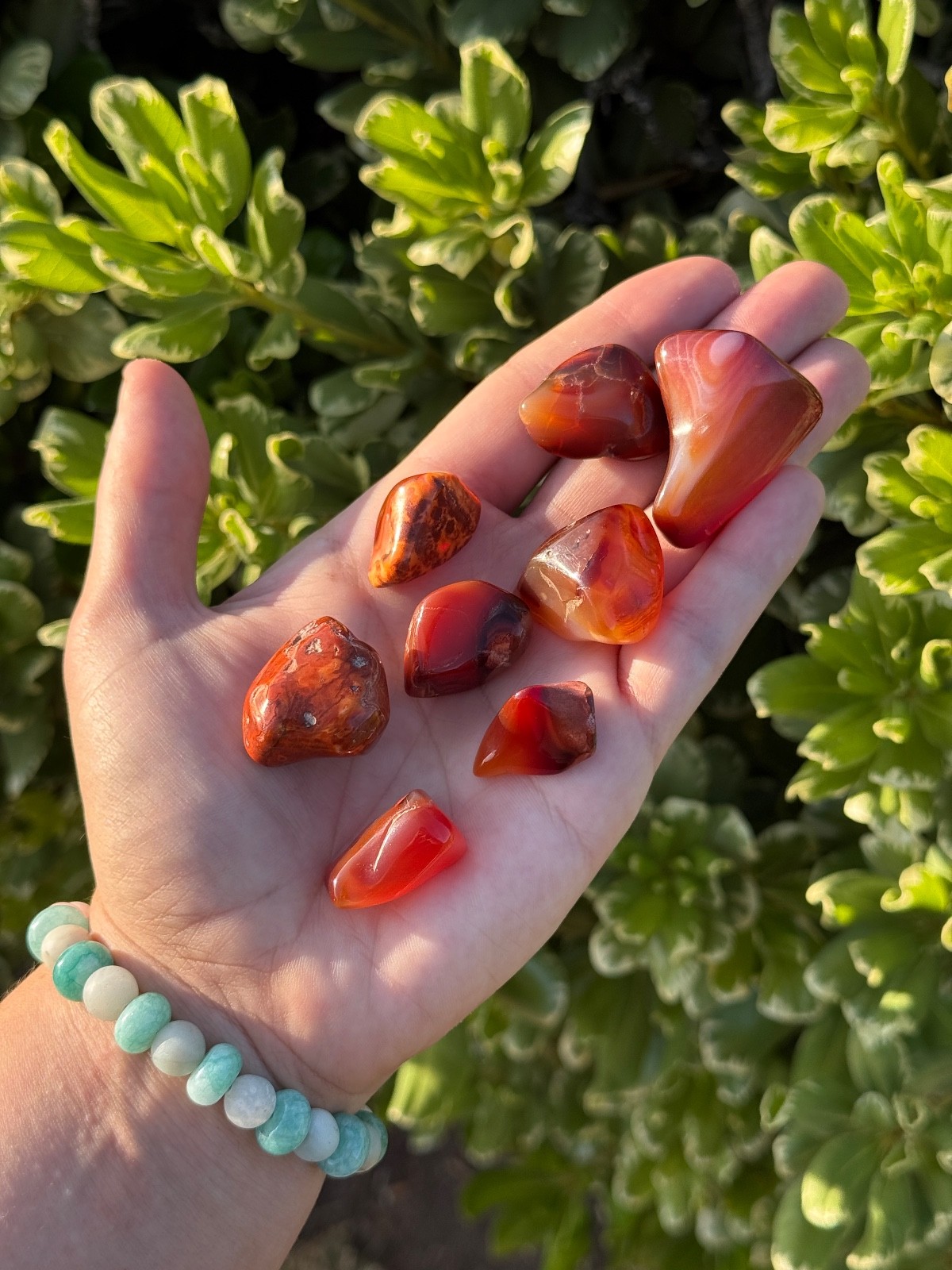 Bulk Wholesale Lot 1/2 Pound Tumble Crystals – Mixed, Carnelian, Tigers eye, ETC