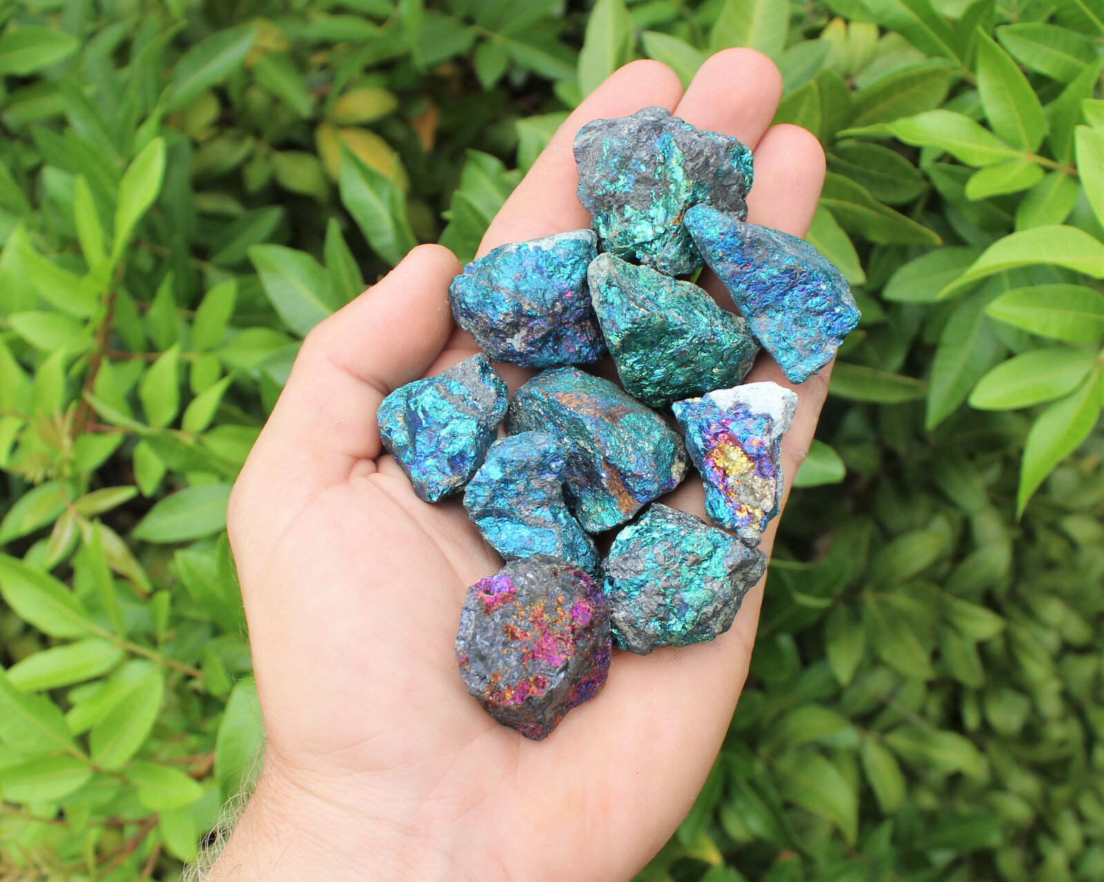 2 lb Bulk Lot Raw Rough Chalcopyrite Gemstone Stone (Peacock Ore Reiki)