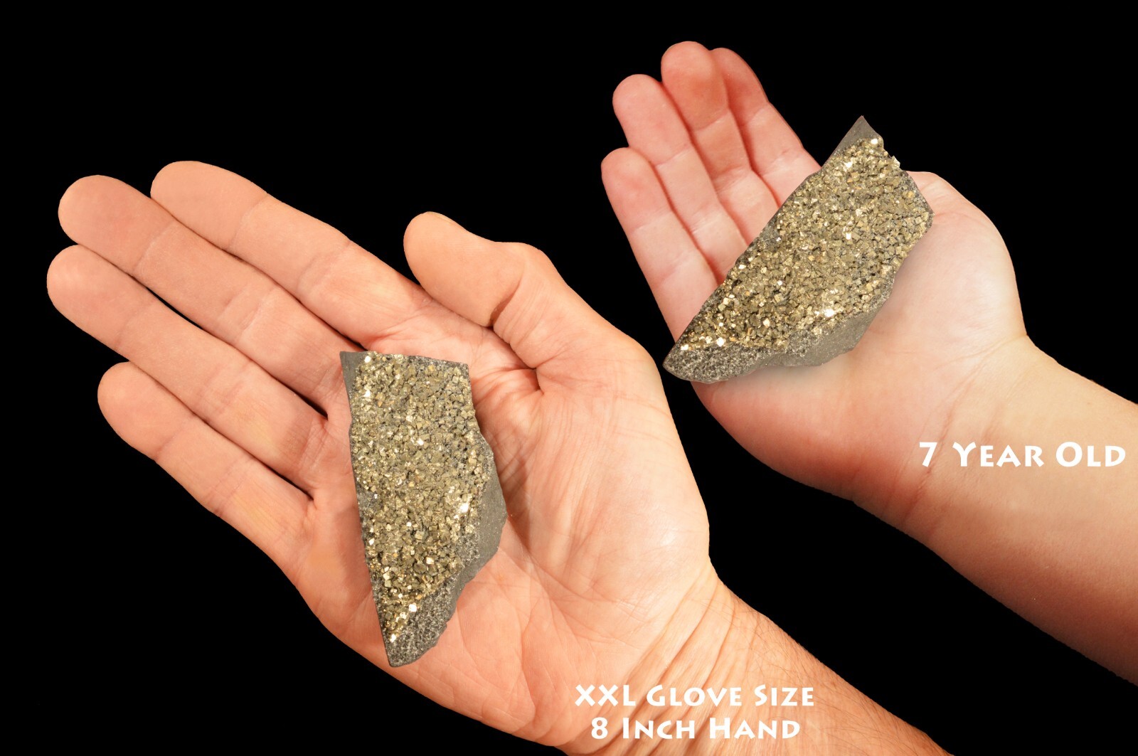 PYRITE On SHUNGITE 3″ 2-4 Oz Rock Mineral Specimen Root Chakra Healing Crystal