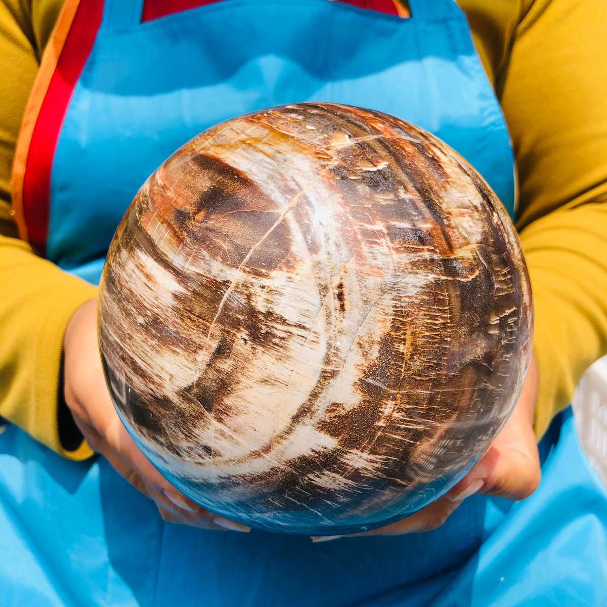 7.72LB Rare Natural Petrified Wood Ball Crystal Quartz Mineral Healing 4709