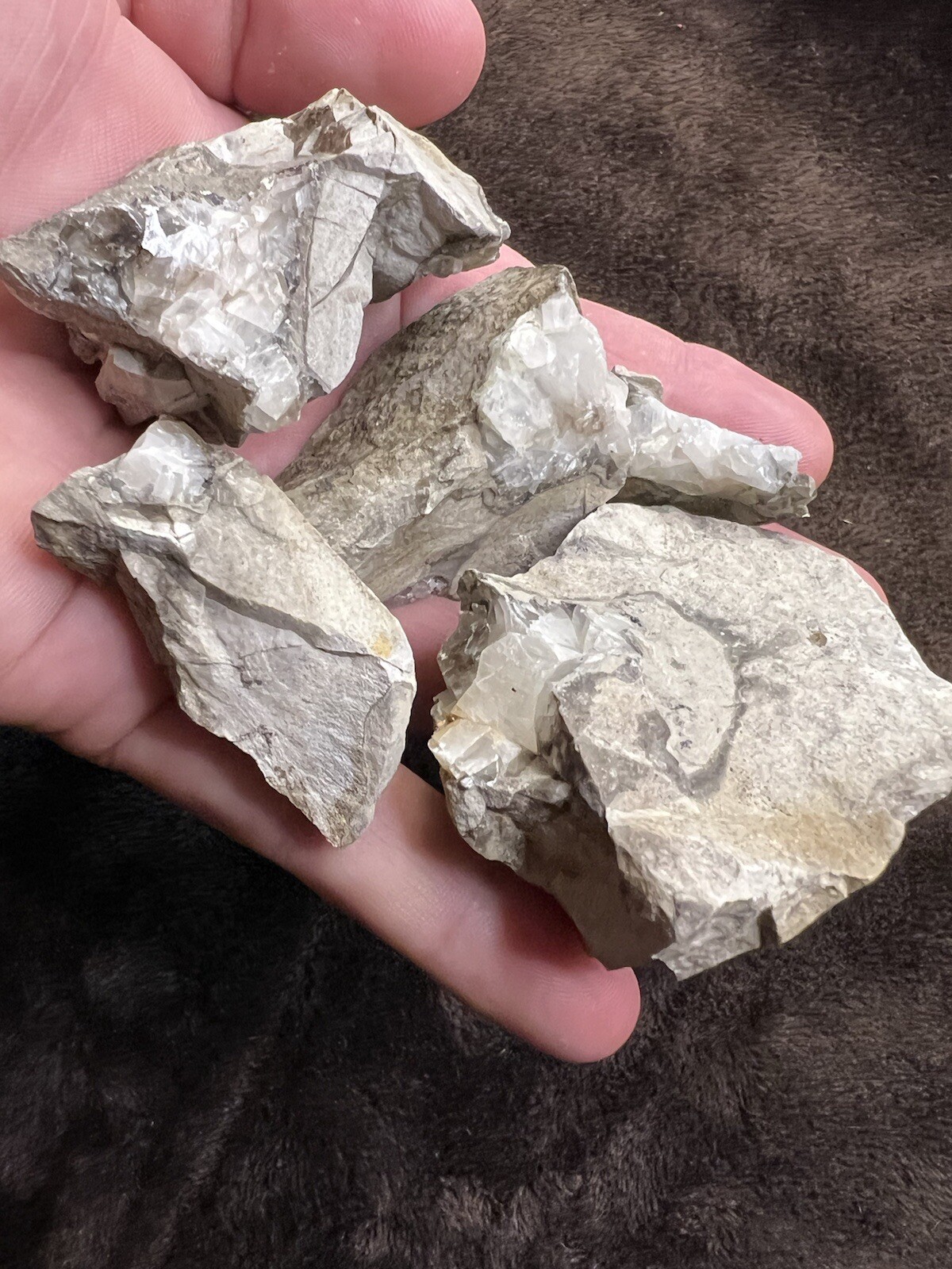 raw natural quartz crystal North East Mississippi Outcrop 5 Pieces