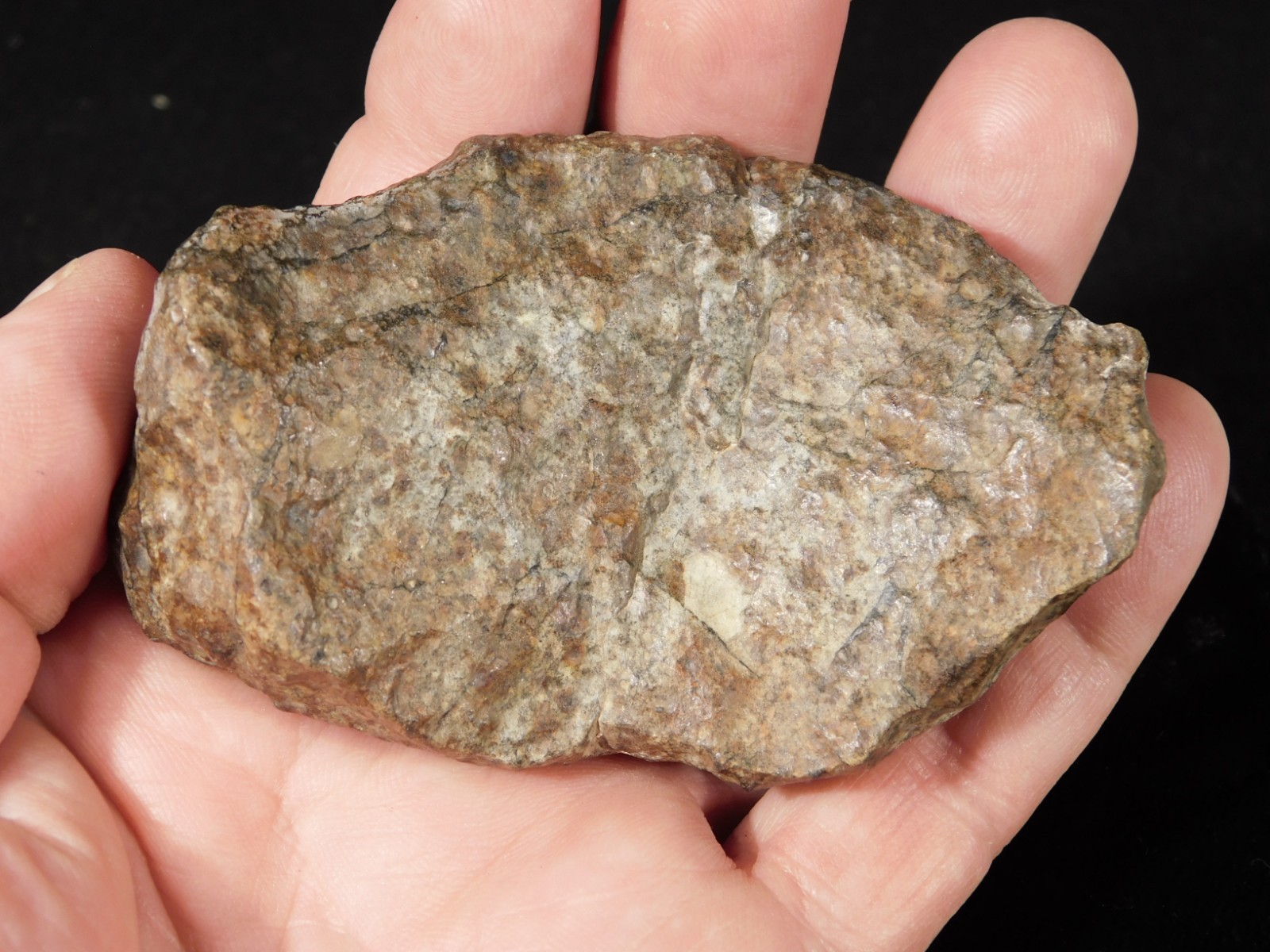 Larger N.W.A 869 Stony METEORITE with Dark Fusion Crust 197gr