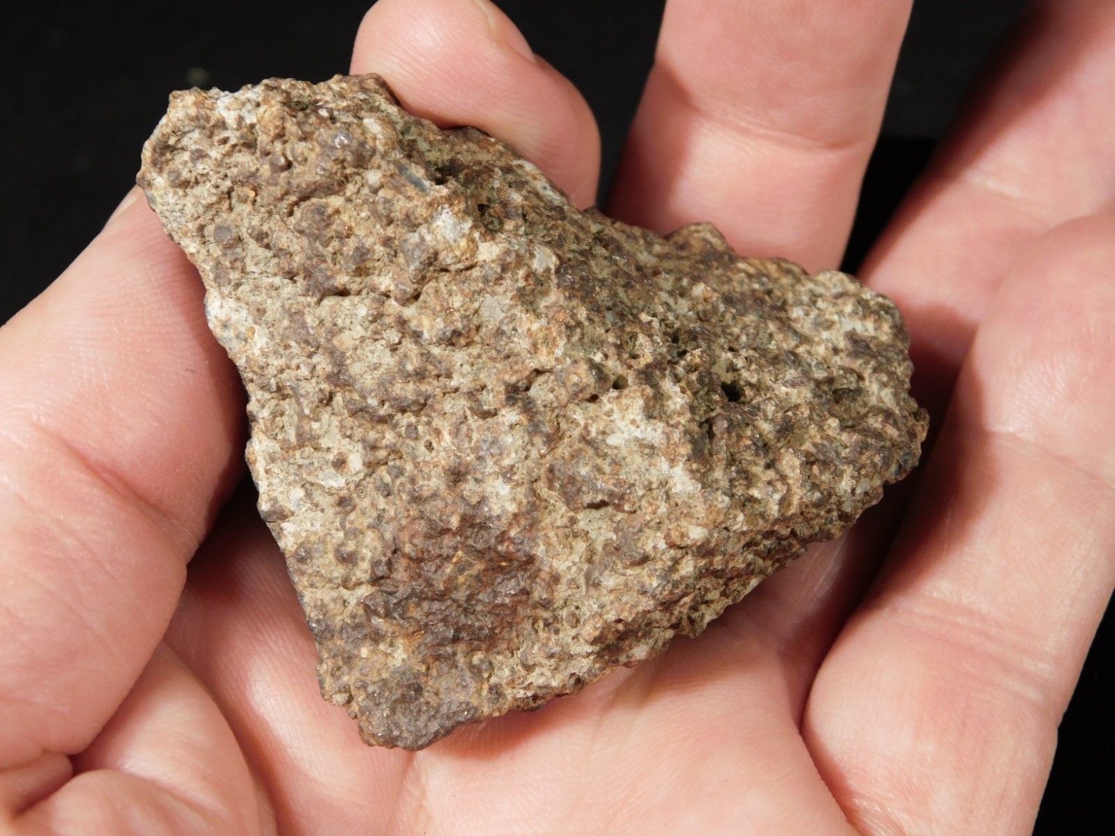 Classified NWA 8245 METEORITE 100% Natural FELL on Erfoud, Morocco 114gr