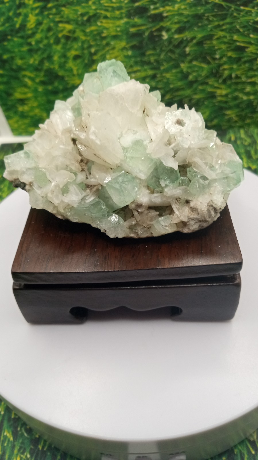 Green Fluorapophyllite w/ Apophyllite & Stilbite / Cherry Wood Stand ~ INDIA ~