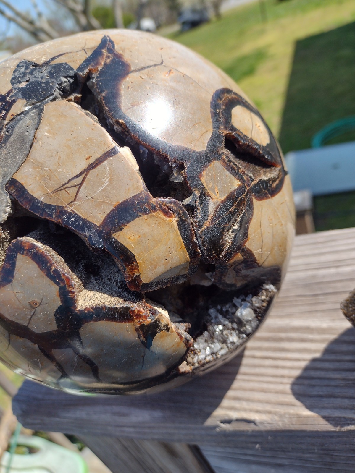 Huge Septarian Dragon Egg Over 15lbs Carving Crystal Stone Polished