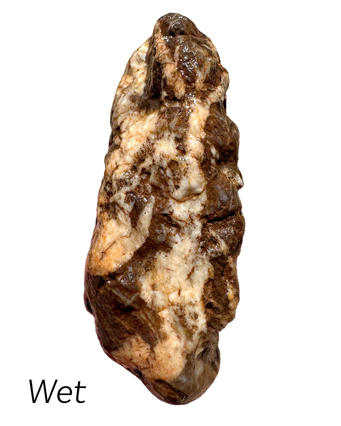 13 oz Brecciated Jasper Rock with Quartz Vein Vivid Iron Color Rough
