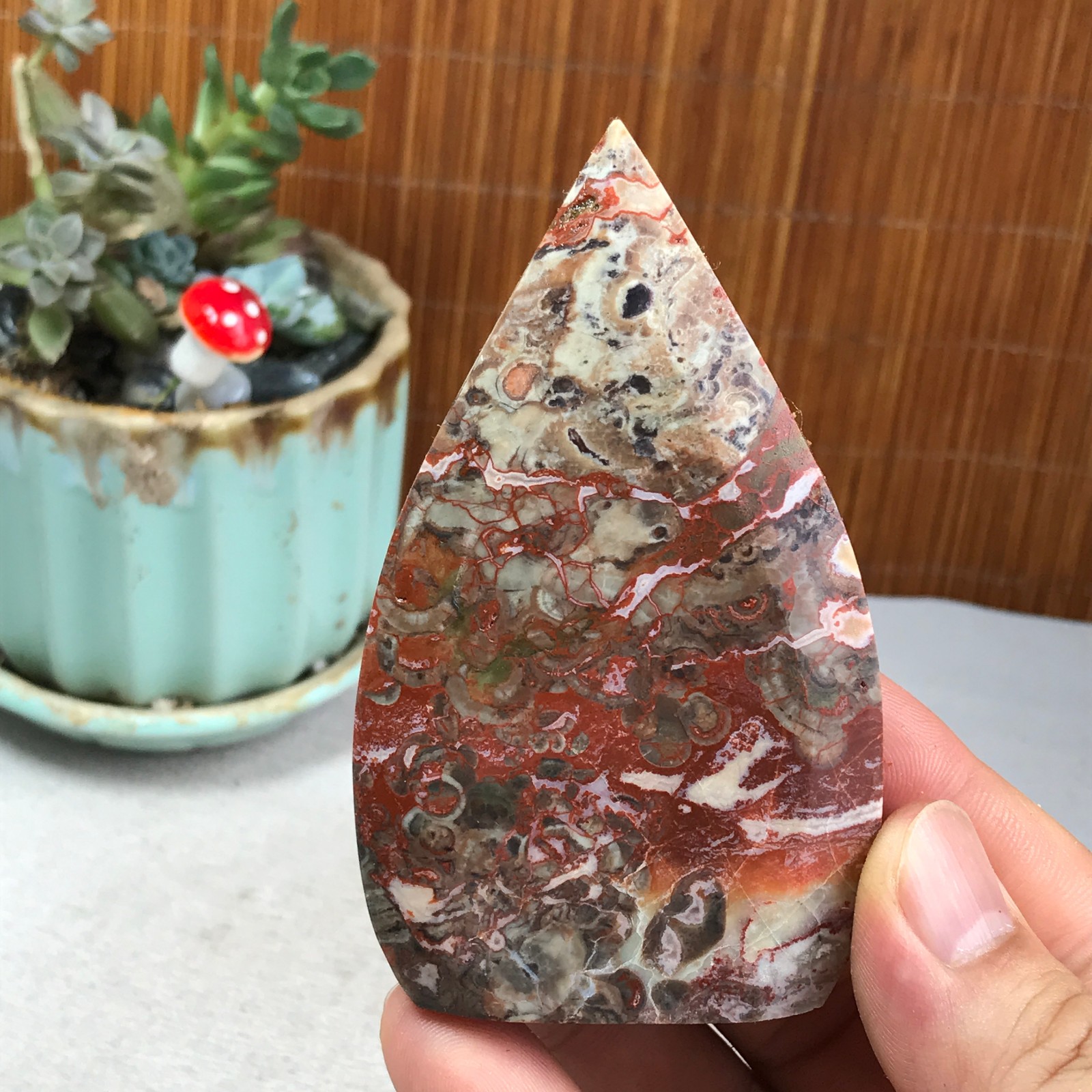 Natural money Mexico agate hand carve leaf Crystal Specimen free standing A6267