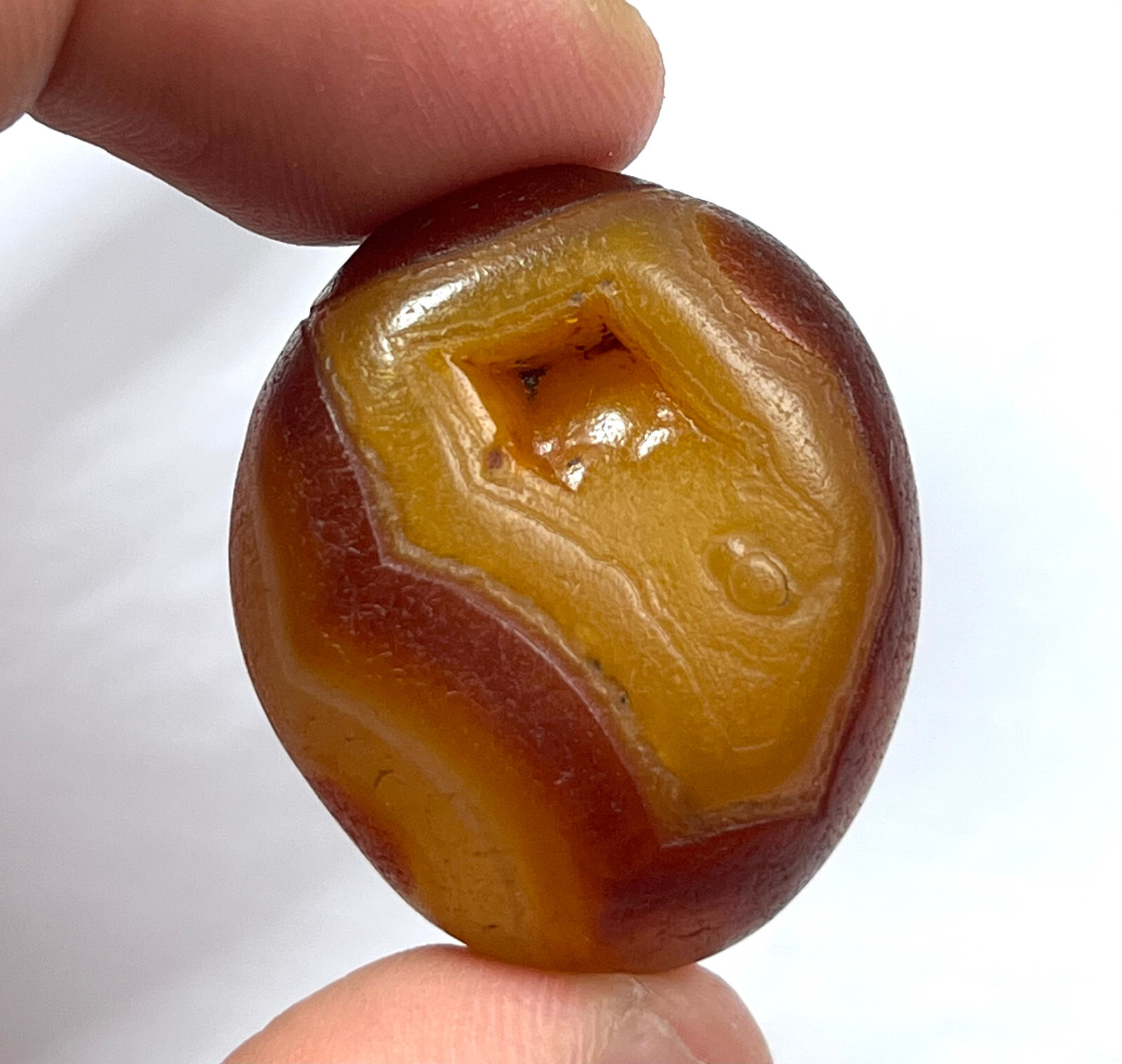 25g Bonsai Suiseki-Natural Gobi Agate Eyes Stone-Rare Stunning Viewing 5-20