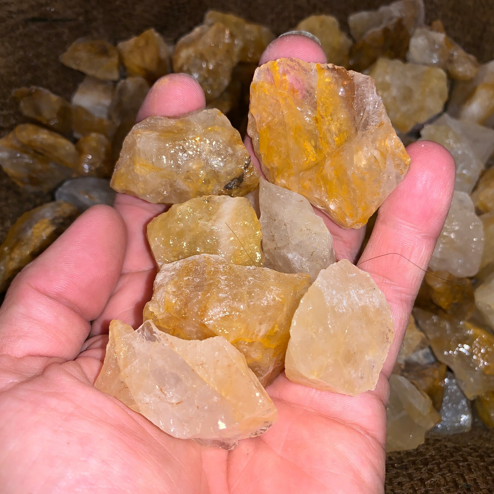 500 Carat Lots of Citrine Rough Plus a FREE Faceted Gemstone!