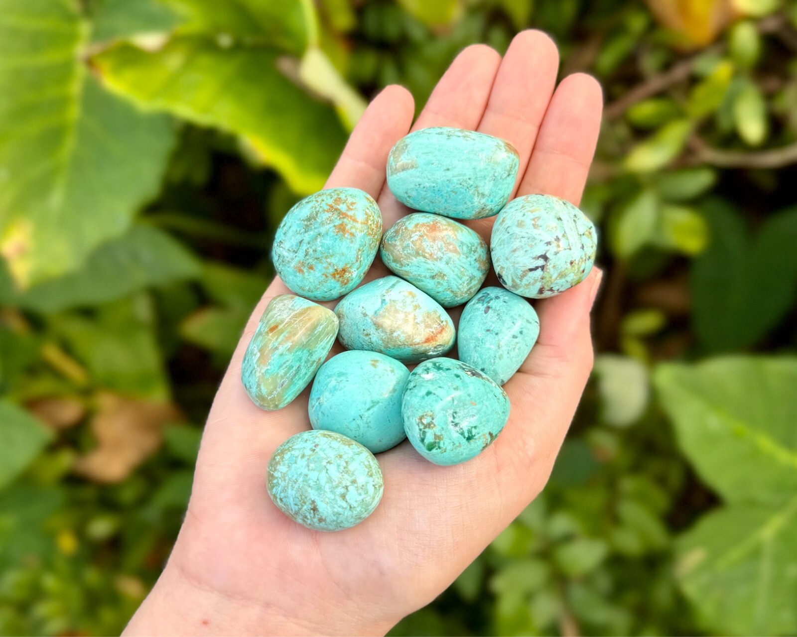 Peruvian Turquoise Tumbled Stones Wholesale Lots (Natural Turquoise Crystals)