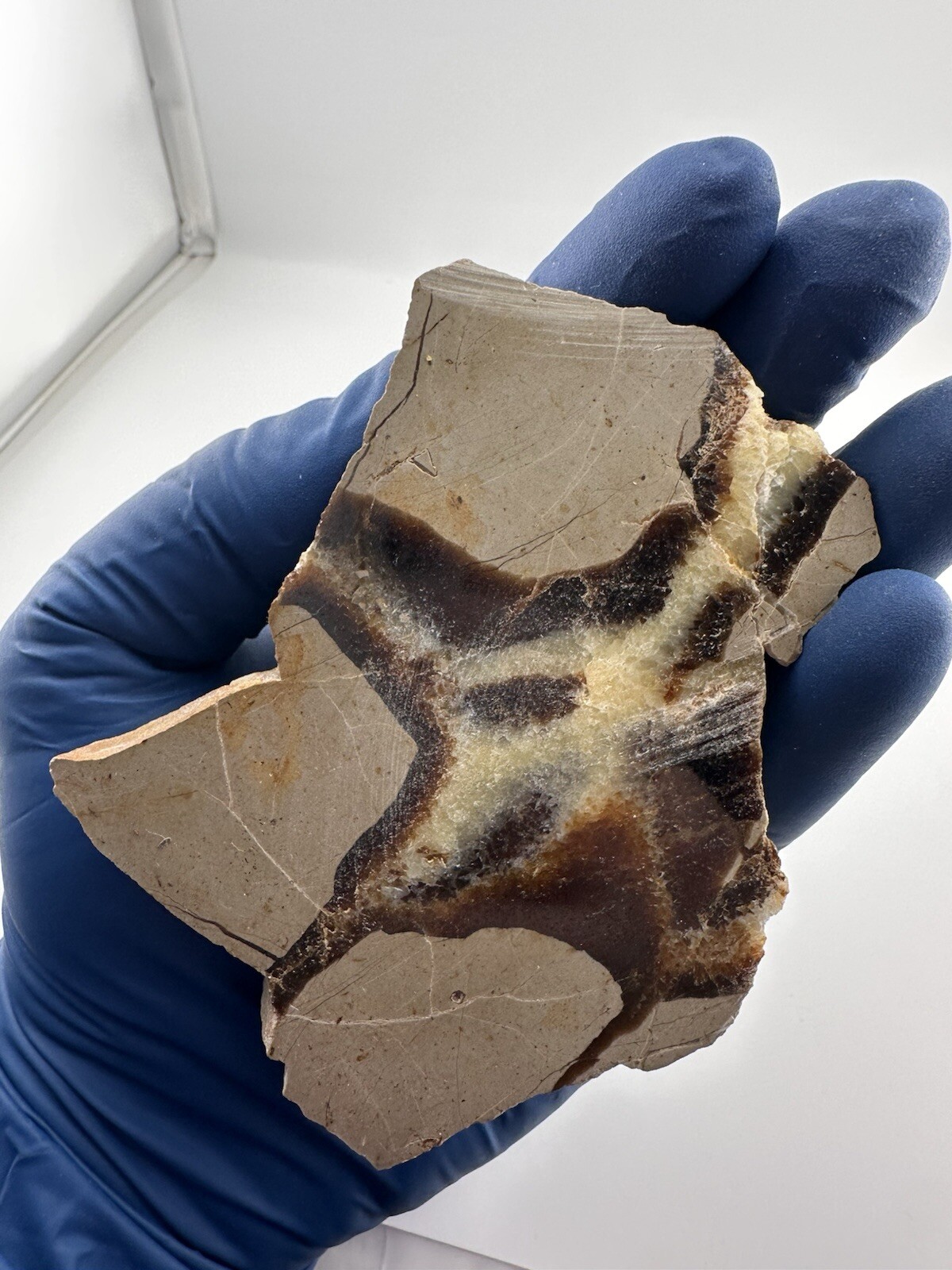 Polished Septarian End Piece Thick Slab 4″ X 3″ 8.3 oz Natural Art!