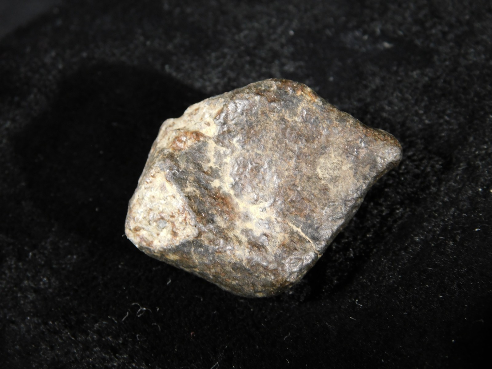 Small Stony METEORITE With Dark Fusion Crust 100% Natural Fell in Libya 13.0gr