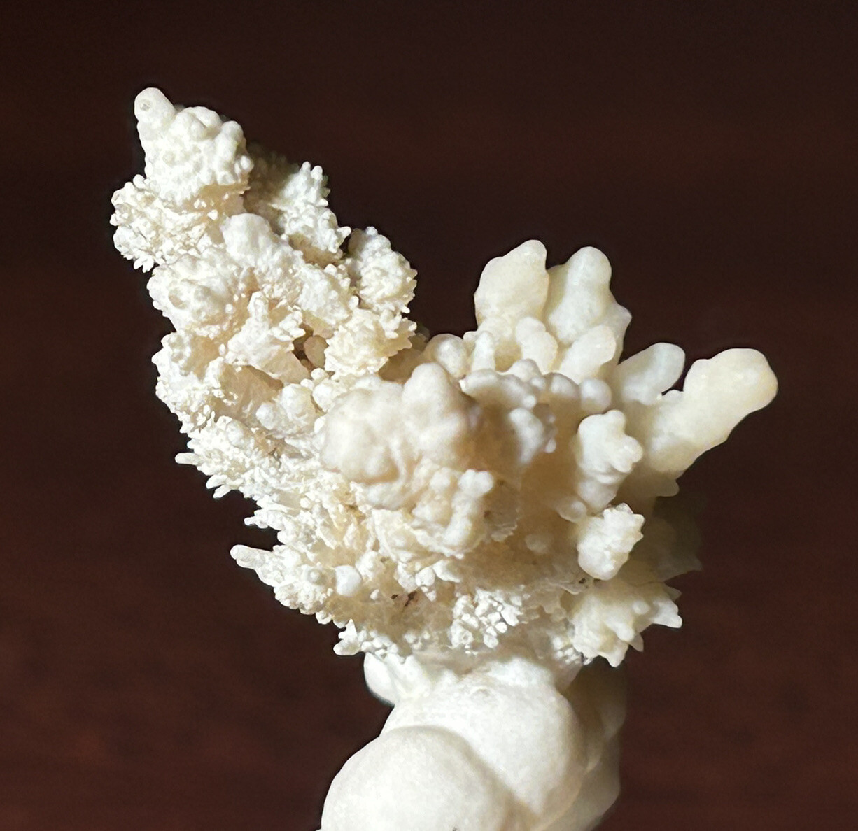 ARAGONITE on CALCITE – Stevenson-Bennett Mine, Doña Ana County, New Mexico