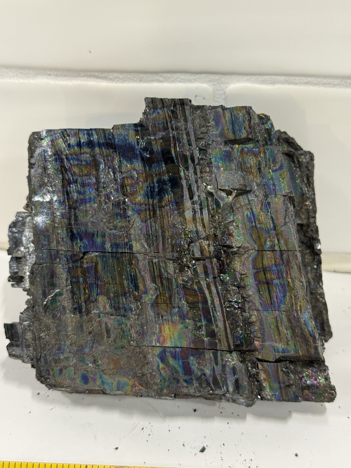 Iridescent Peacock Coal Pennyslvanian Anthracite High Quality No Fade