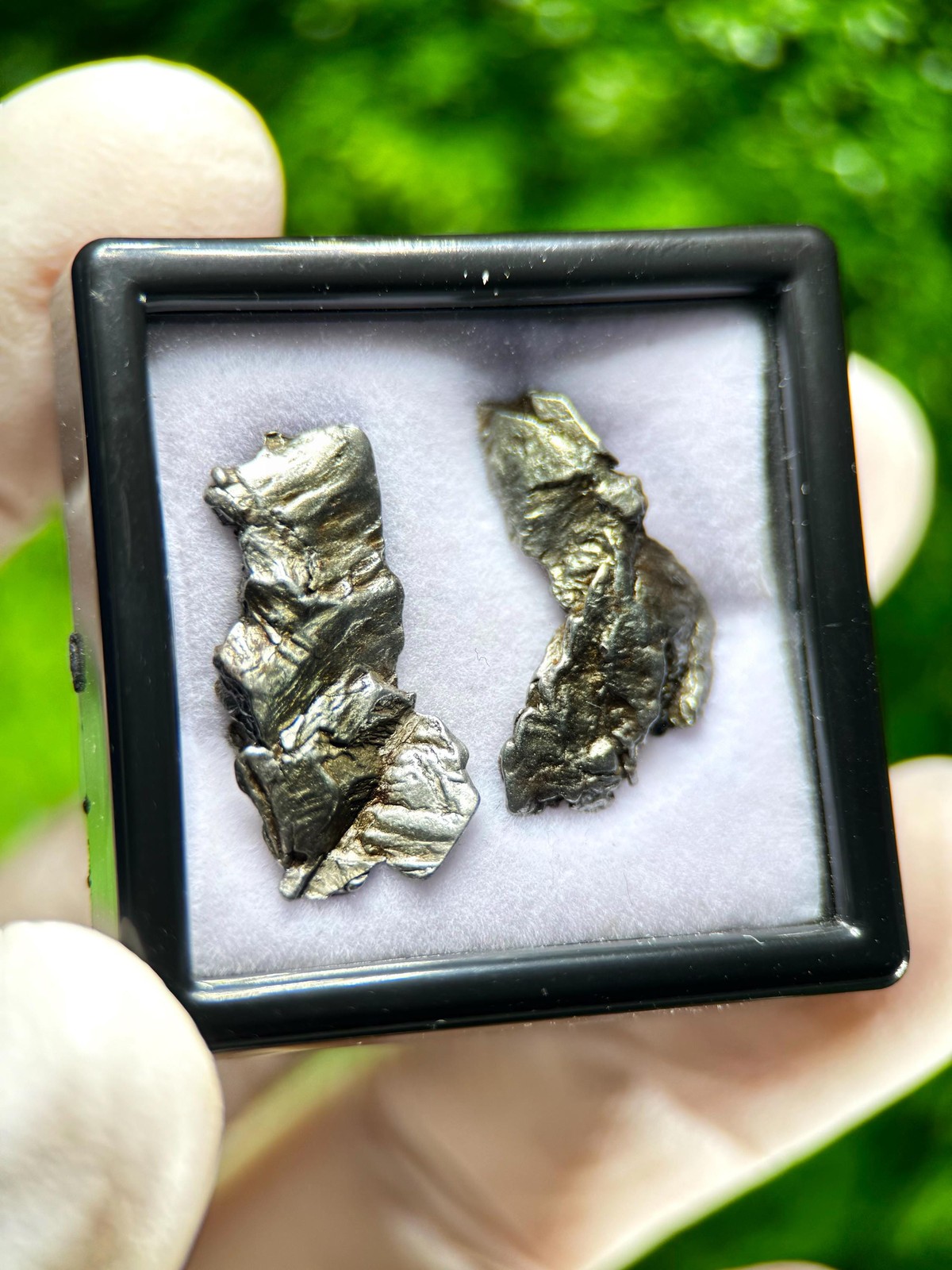 Genuine Aletai Iron Meteorite / From the Asteroid Belt Between MARS AND JUPITER!
