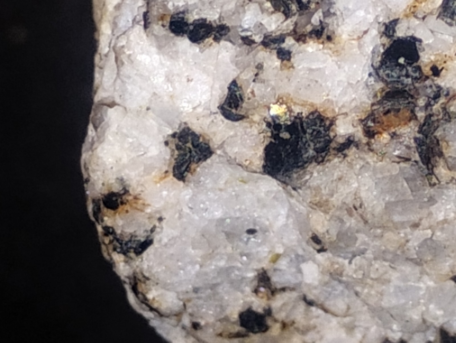 Polymetallic Ore Matrix Quartz, Pyrite & Silver/Black Sulfides – Blue Mountain?
