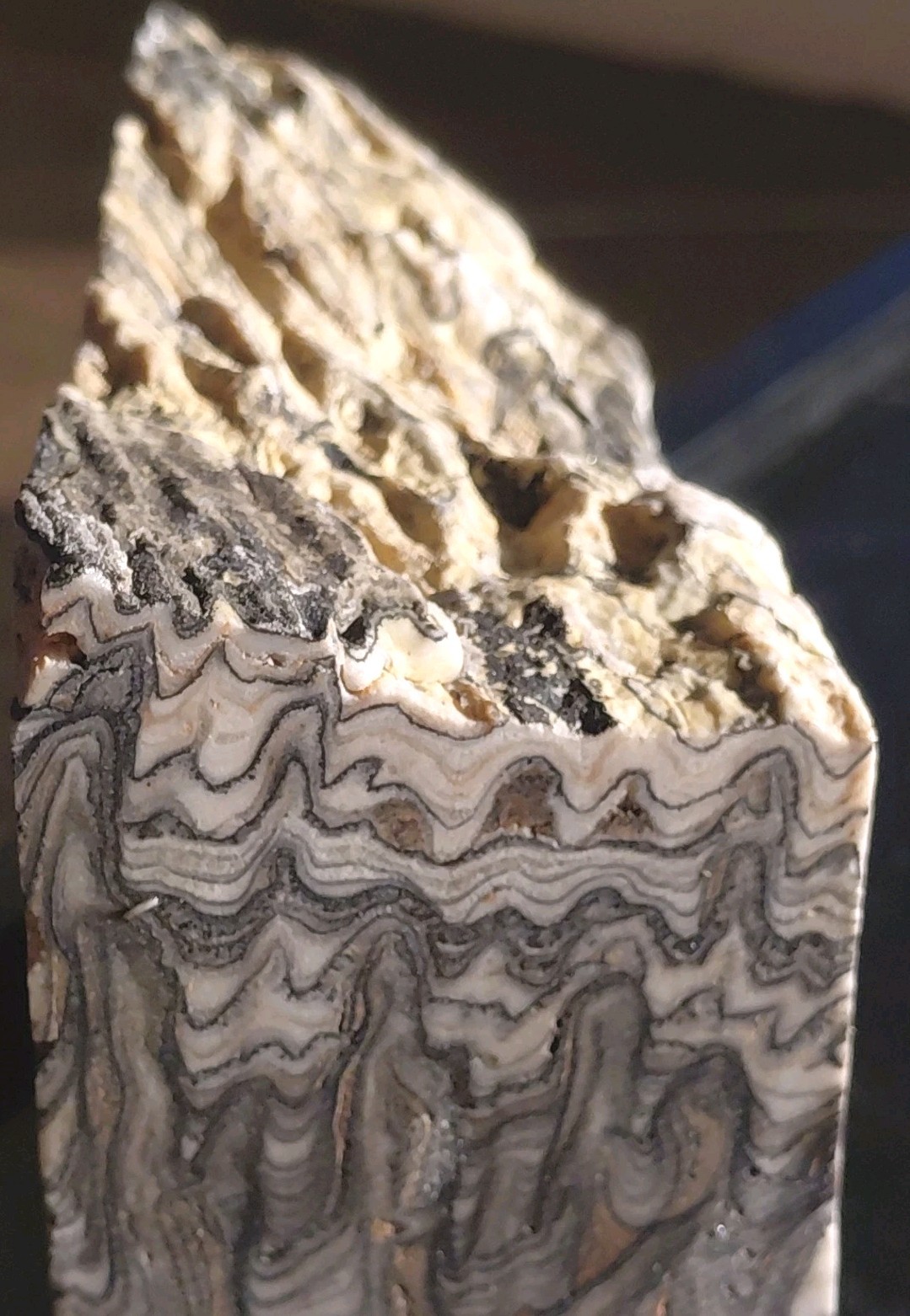 Zebra Calcite Tower 2 Lbs Crystal Pocket Banded Dendritic Display 4″x 3 1/2″x 2″