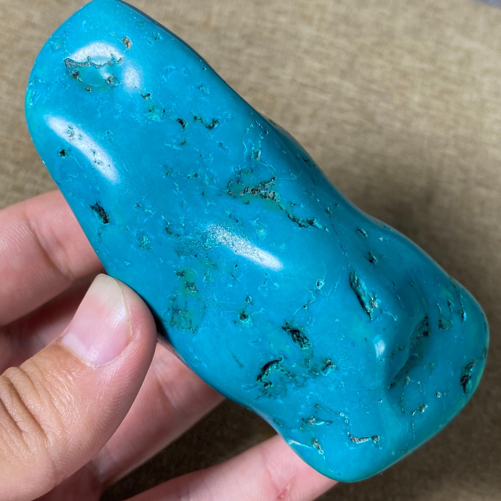 183g Beautiful Turquoise Nugget Rough specimen W381