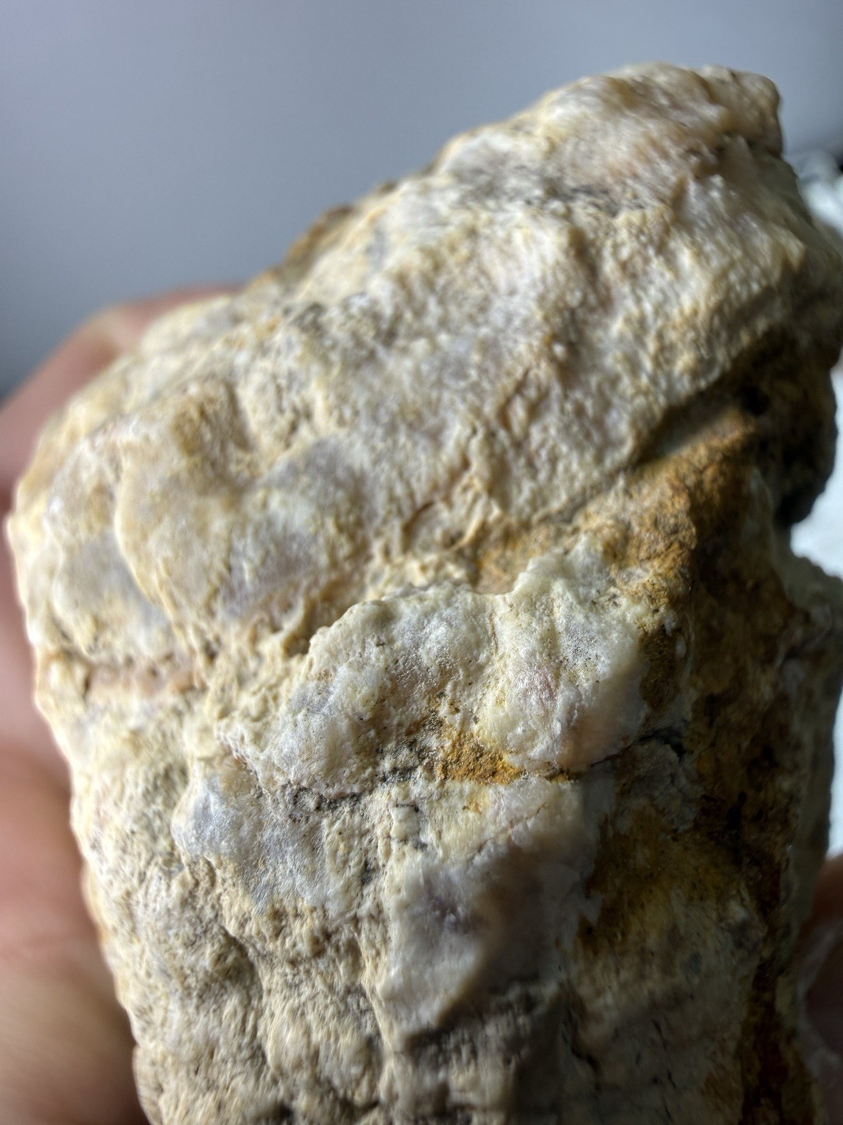 Natural Quartz Crystal Mineral Geode Pieces Annville, Kentucky 236grams