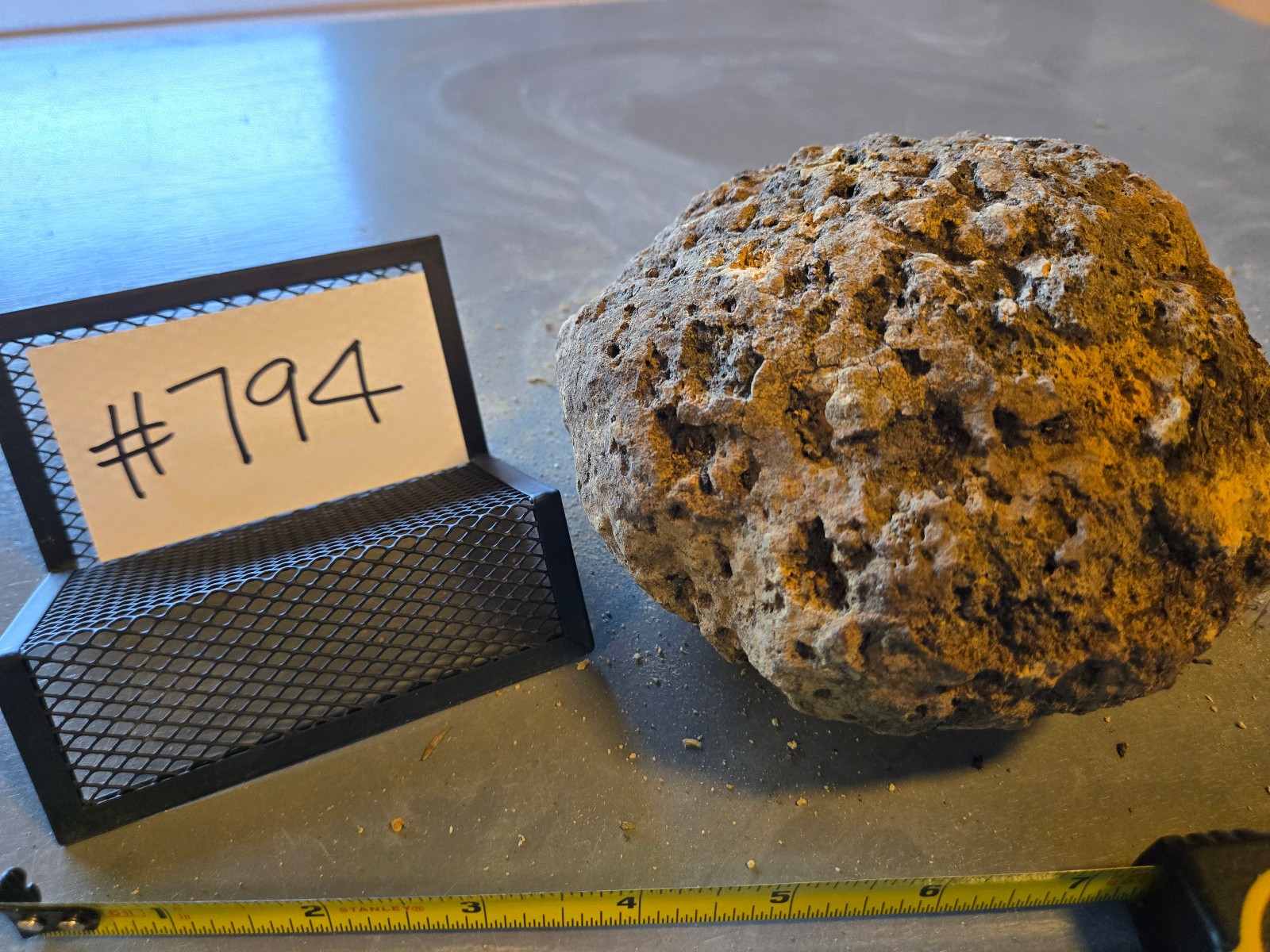 5.5″ Medium Pumice Stone Floating Natural Rock Carnivorous Succulent Garden #794