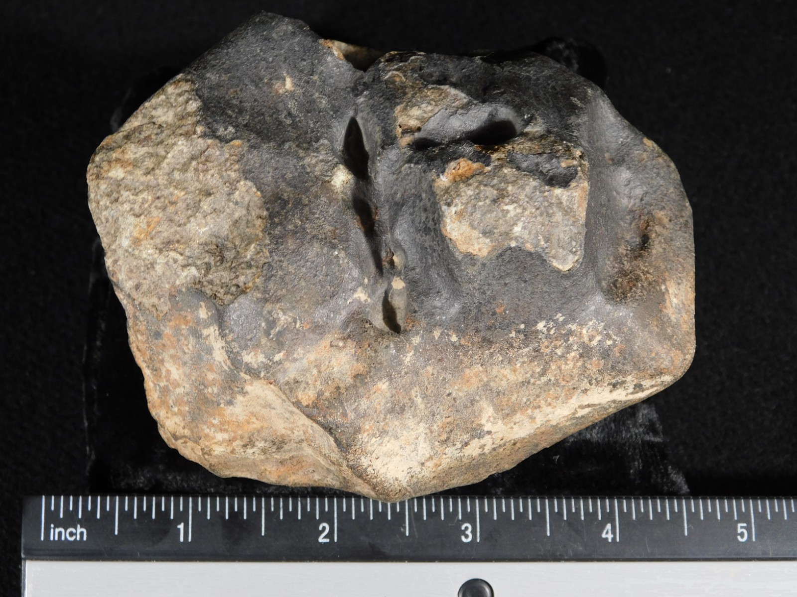 Big! N.W.A 869 Stony METEORITE with Dark Fusion Crust and DEEP REGMAGLYPTS 880gr