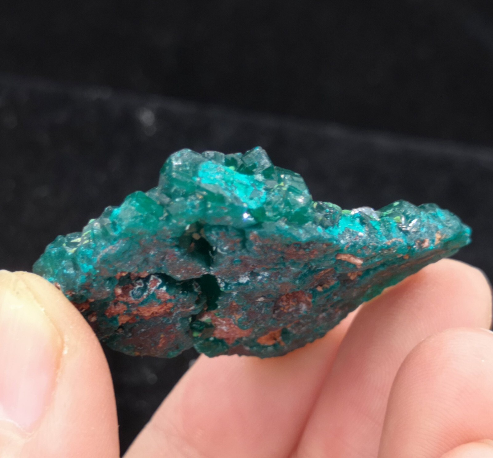 38mm Malachite on Gemmy Dioptase mined from Congo, Natural Mineral Specimen