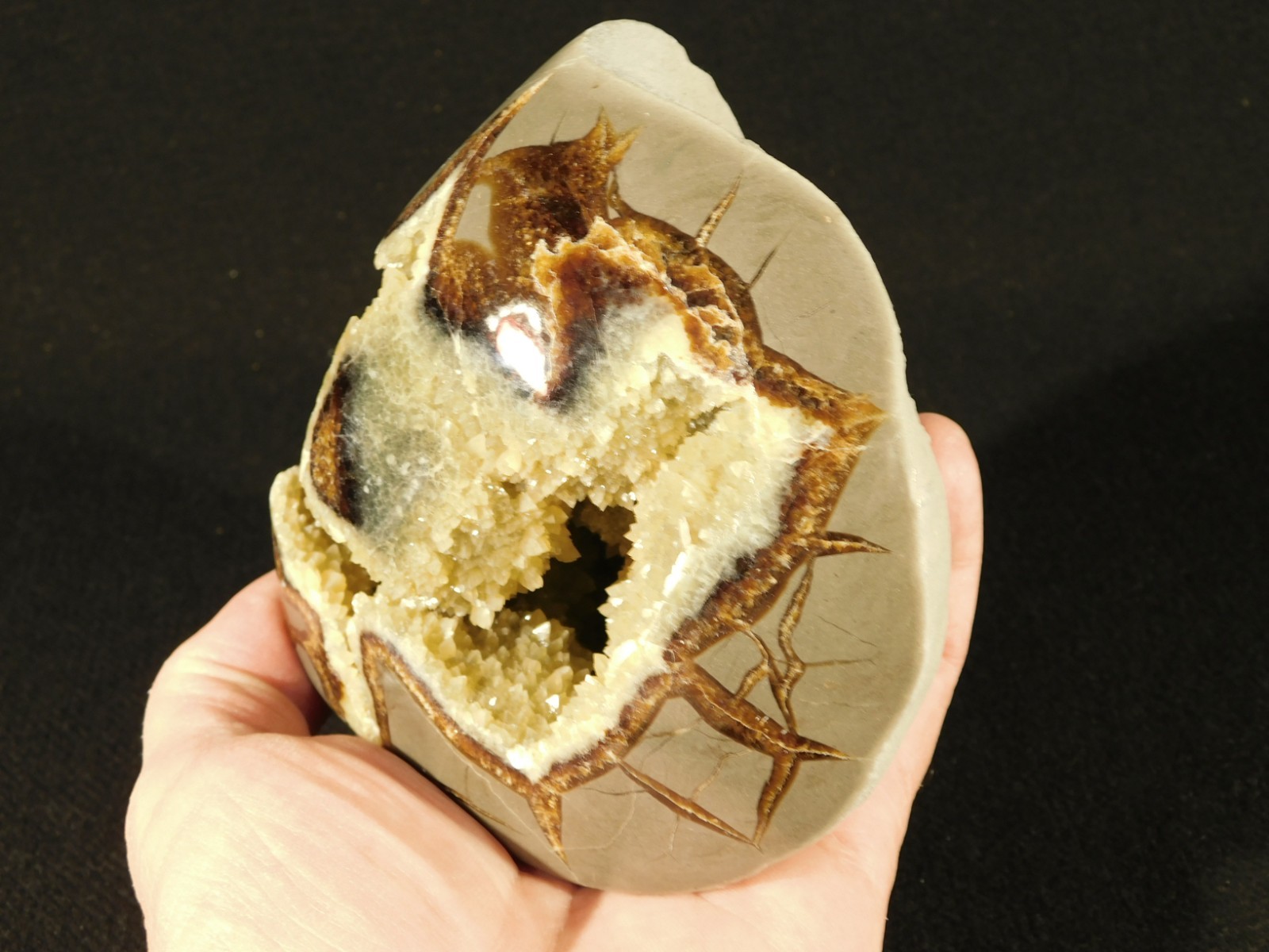 Big Polished AAA Crystal Filled Hollow Septarian GEODE Free Form Utah 1044gr