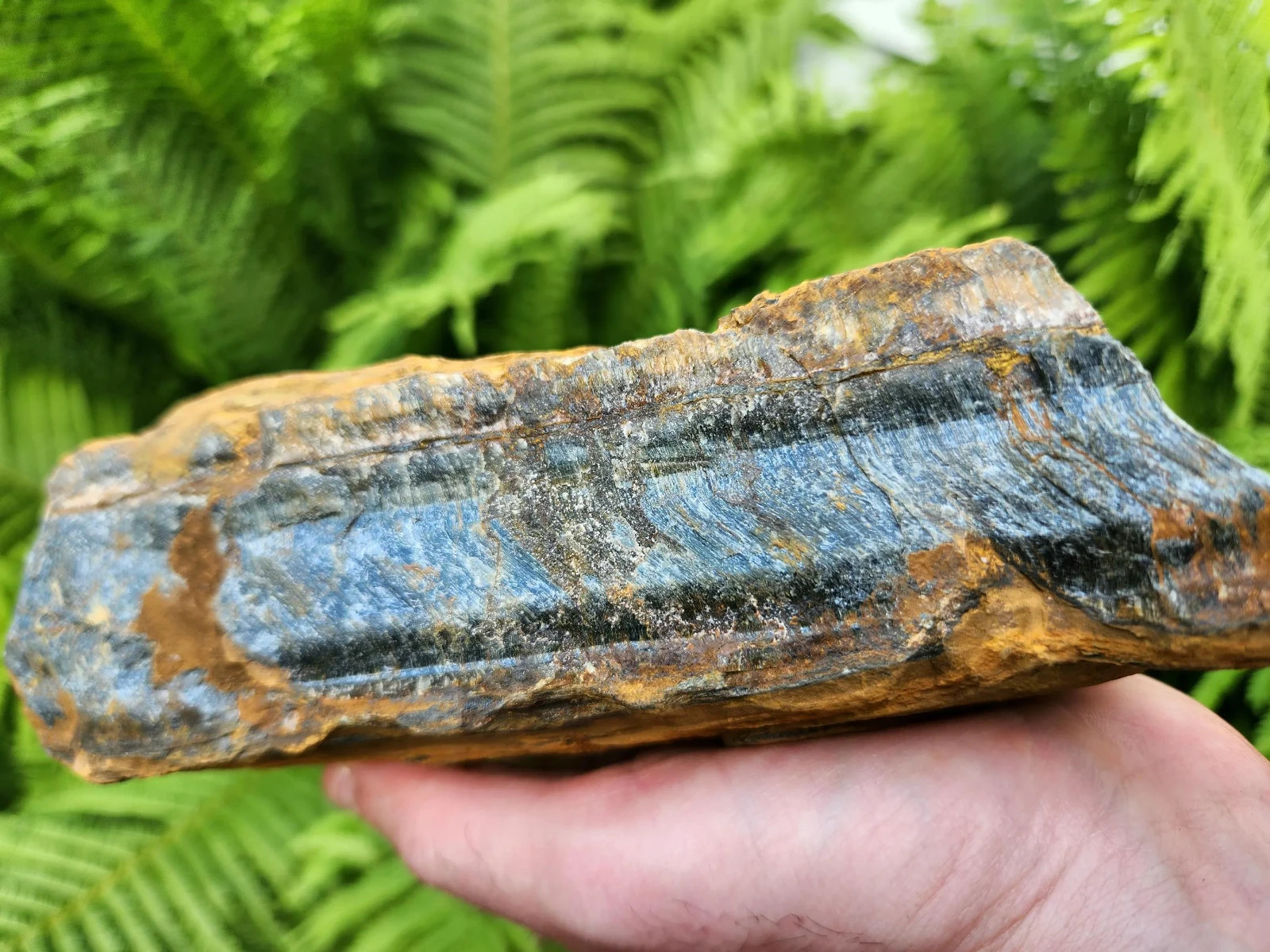 5 lb 11 oz Rough Blue Tiger’s Eye Stone. Ideal for Lapidary. Luminescent