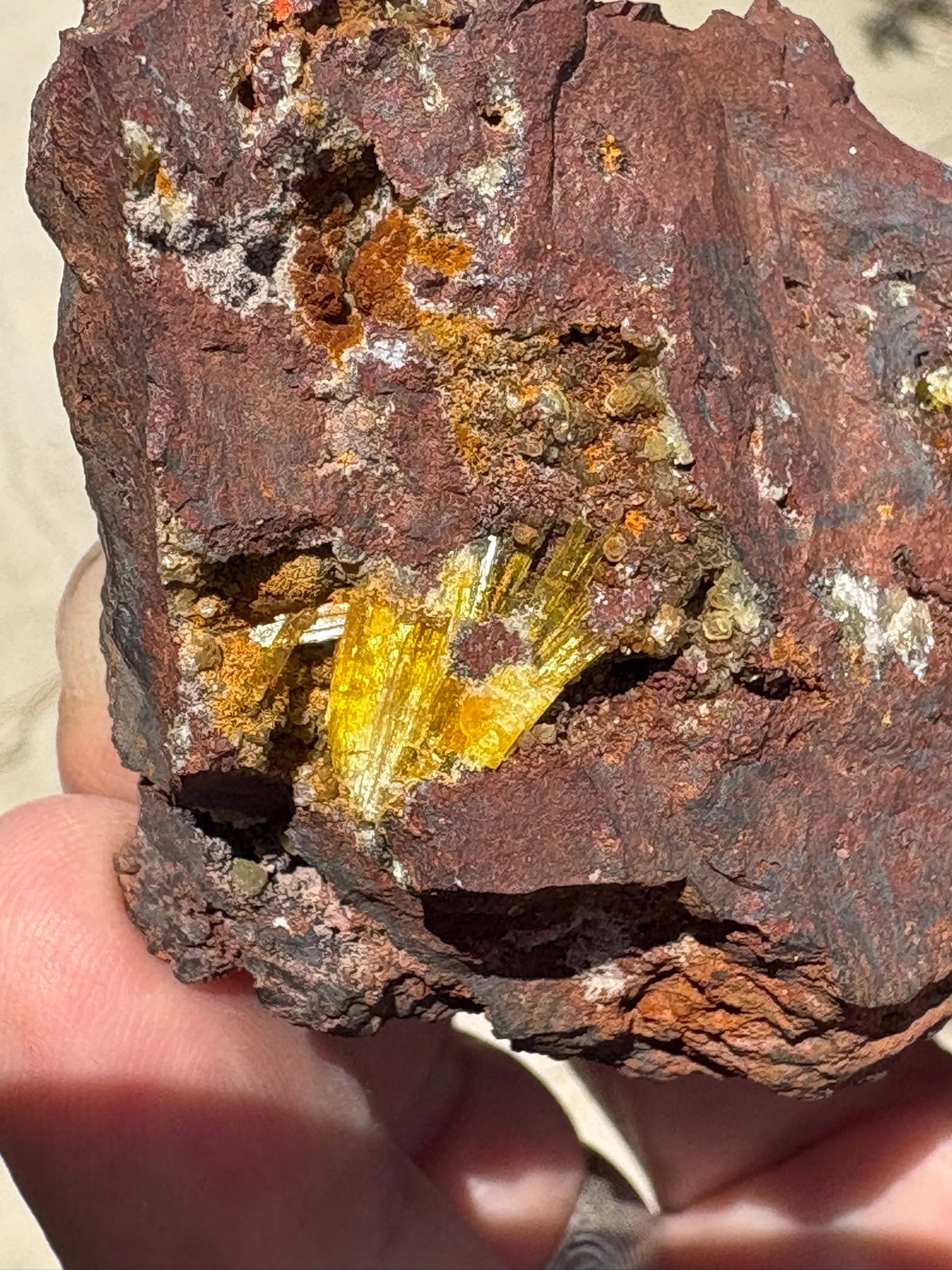 Legrandite crystal spray in matrix, Ojuela mine, Mapimi, Durango, Mexico